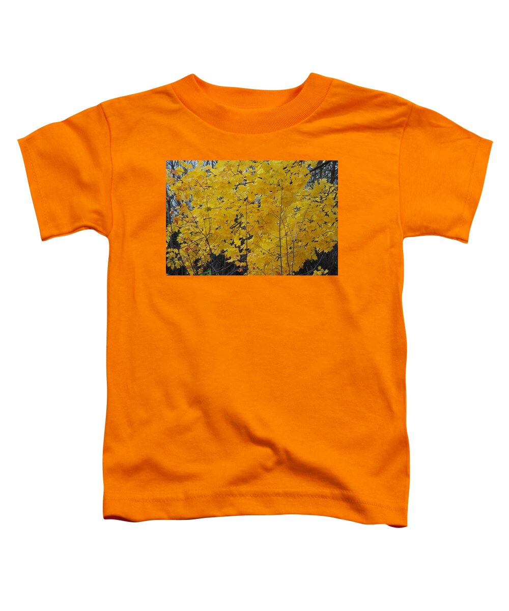  Toddler T-Shirt featuring the photograph Autumn Transition 189 by Ee Photography