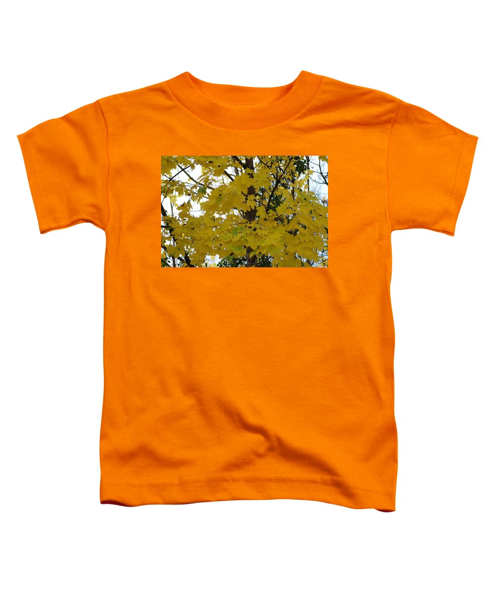  Toddler T-Shirt featuring the photograph Autumn Transition 192 by Ee Photography