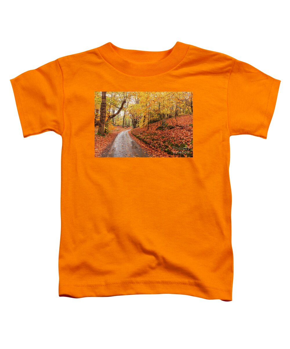 Norfolk Toddler T-Shirt featuring the photograph Norfolk autumn woodland and winding rural road by Simon Bratt
