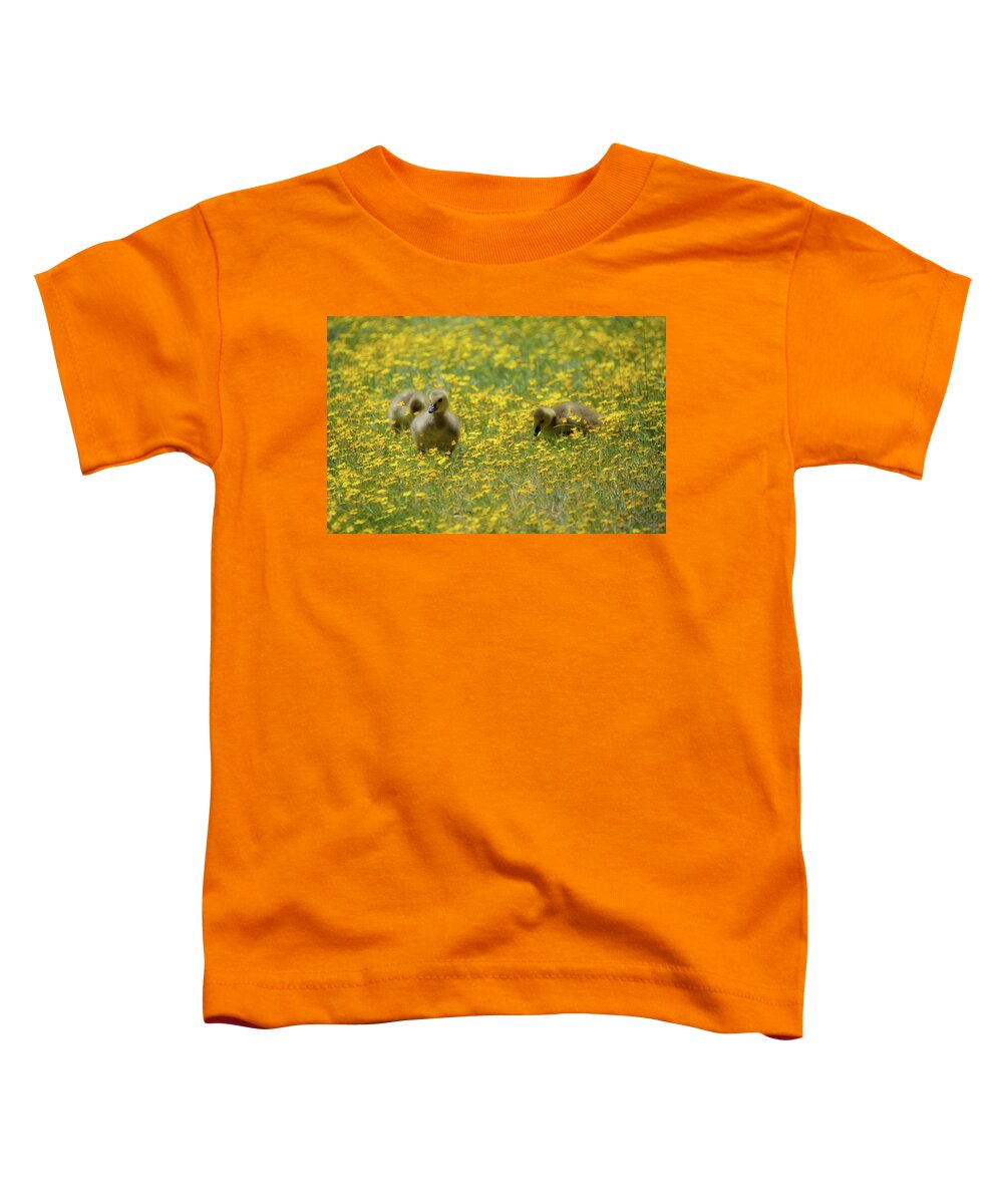 Nursery Toddler T-Shirt featuring the photograph Babies and Blooms by Steph Gabler