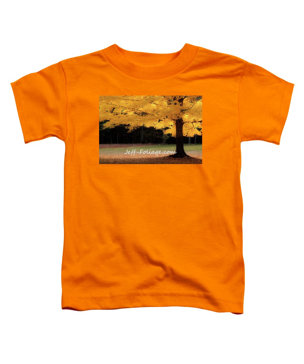 Autumn Fall Colors Toddler T-Shirt featuring the photograph Canopy of Gold fall Colors by Jeff Folger