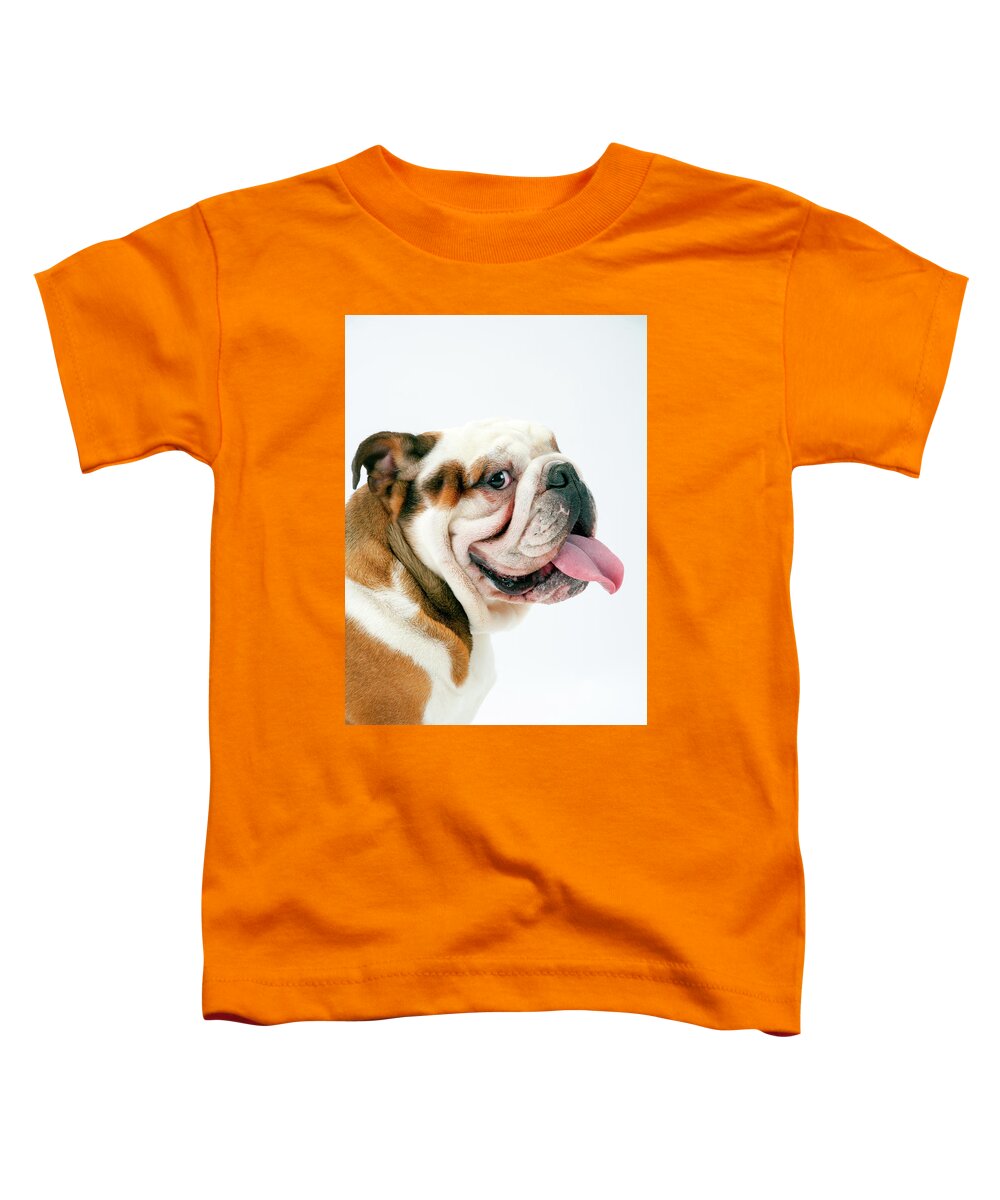 18 Months Toddler T-Shirt featuring the photograph Cheeky British Bulldog by Seeables Visual Arts