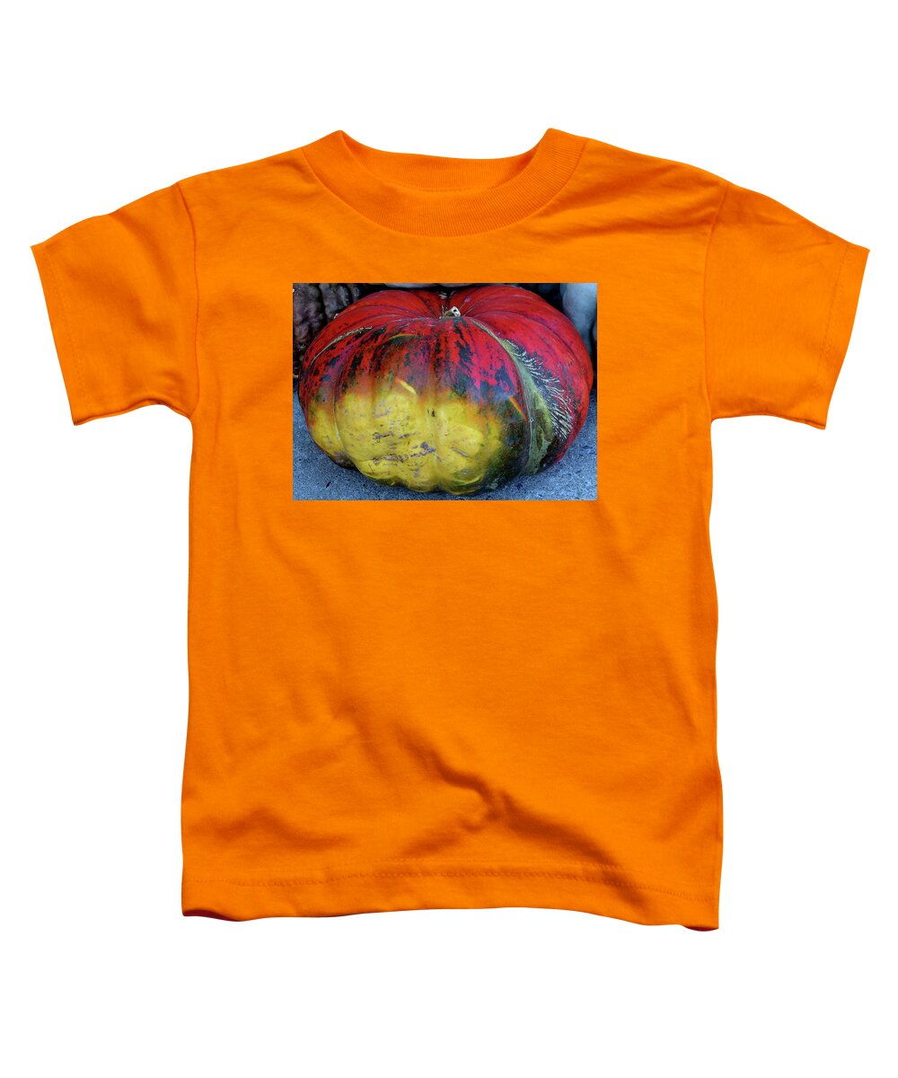 Large Squash Toddler T-Shirt featuring the photograph Colorful Designer Squash by Linda Stern