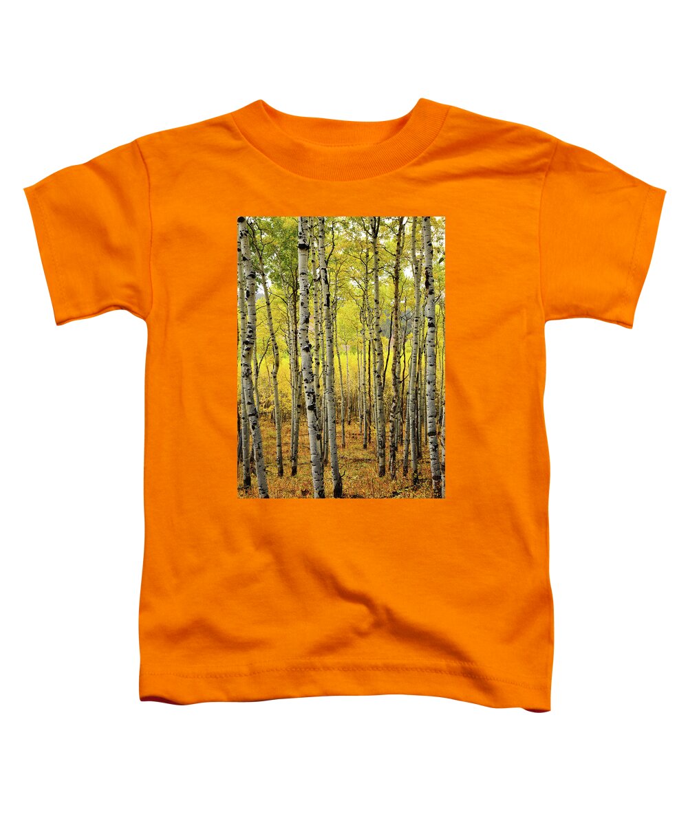 Ouray Toddler T-Shirt featuring the photograph County Road 5 Aspen Grove by Ray Mathis