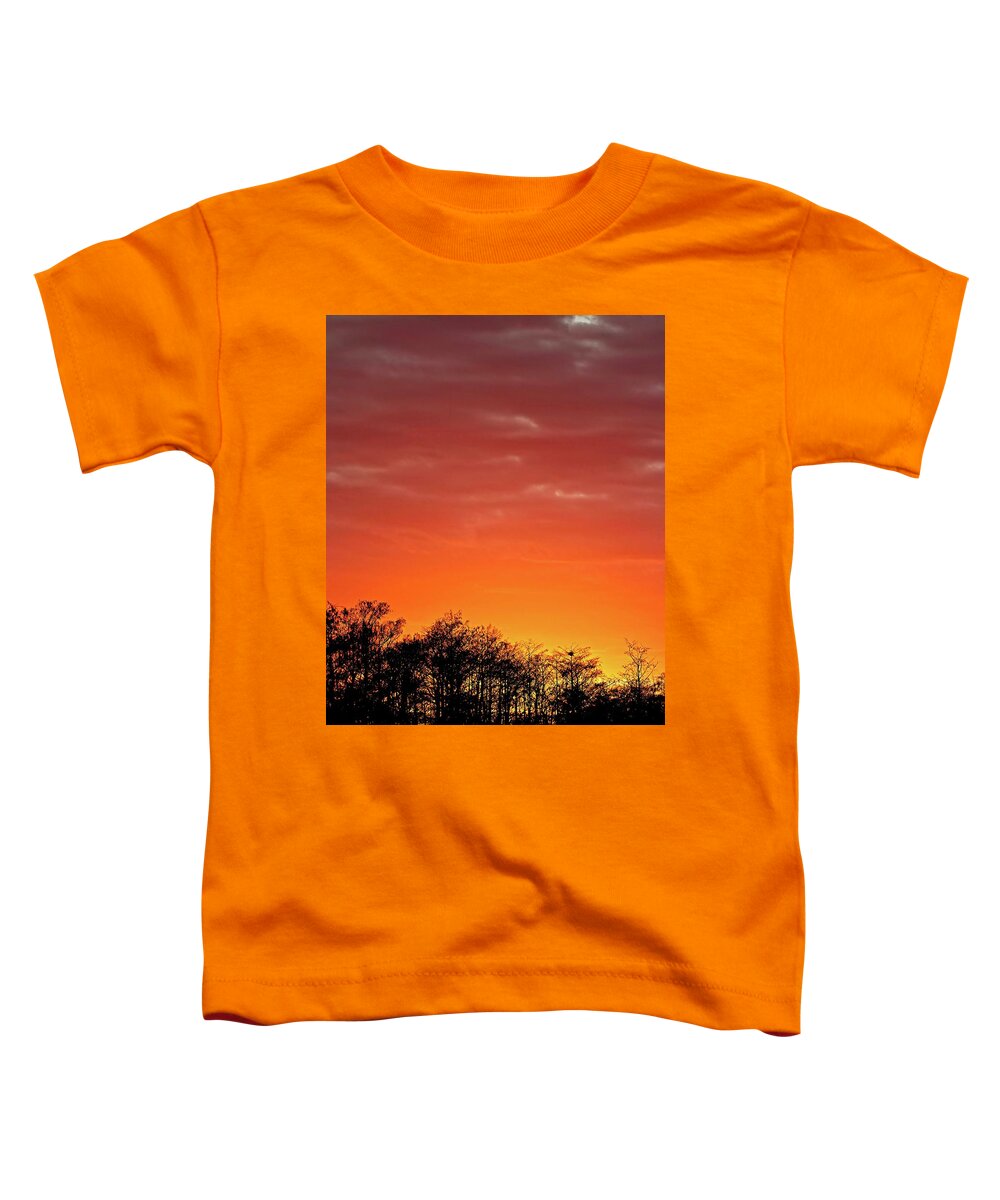 Swamp Toddler T-Shirt featuring the photograph Cypress Swamp Sunset 4 by Steve DaPonte