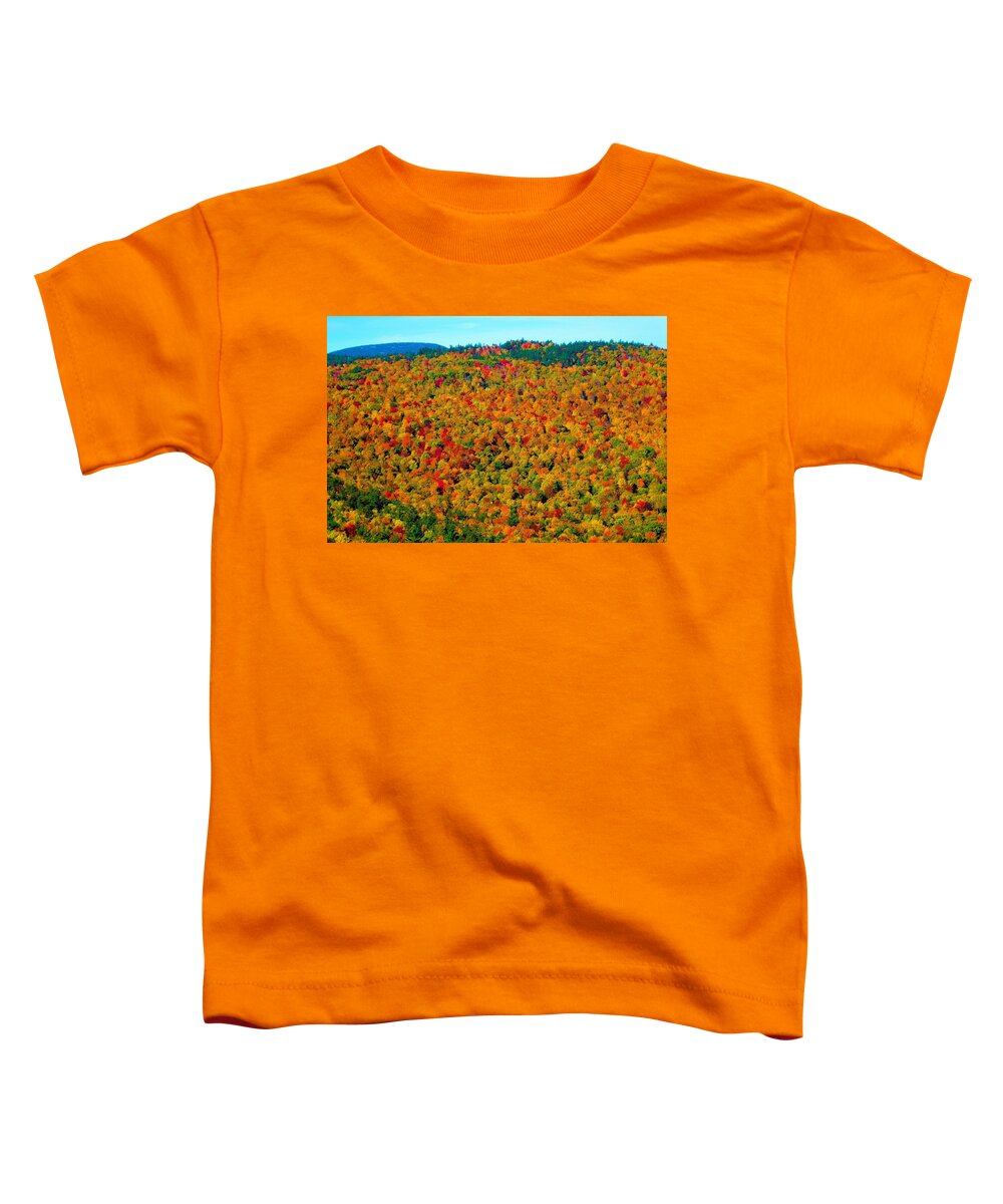 - Fall Splendor Toddler T-Shirt featuring the photograph - Fall Splendor by THERESA Nye