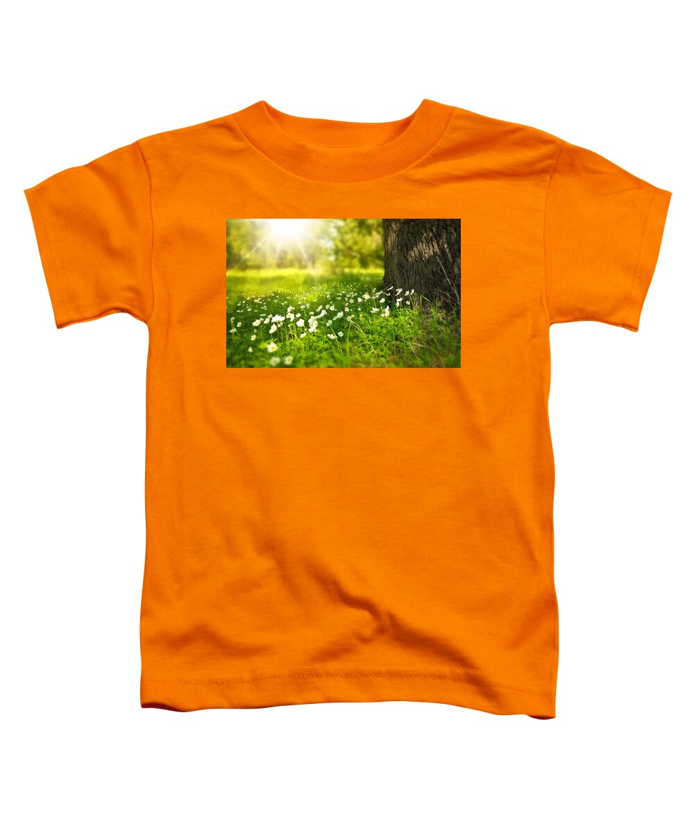 Flowers Toddler T-Shirt featuring the photograph Field of daisies by Top Wallpapers