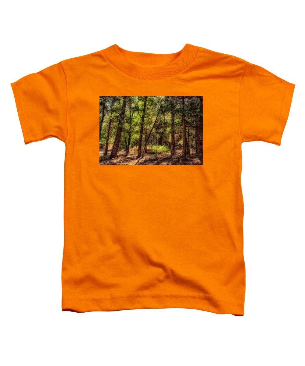 Pines Toddler T-Shirt featuring the photograph Forest Light II by Alison Frank