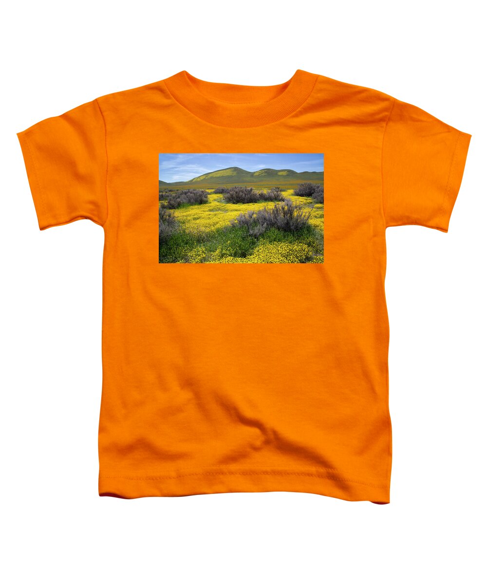 California Toddler T-Shirt featuring the photograph Glorious Color by Cheryl Strahl