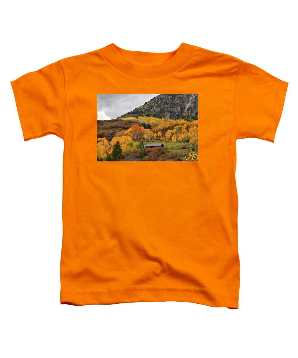 Colorado Toddler T-Shirt featuring the photograph Golden Aspens along Last Dollar Road by Ray Mathis