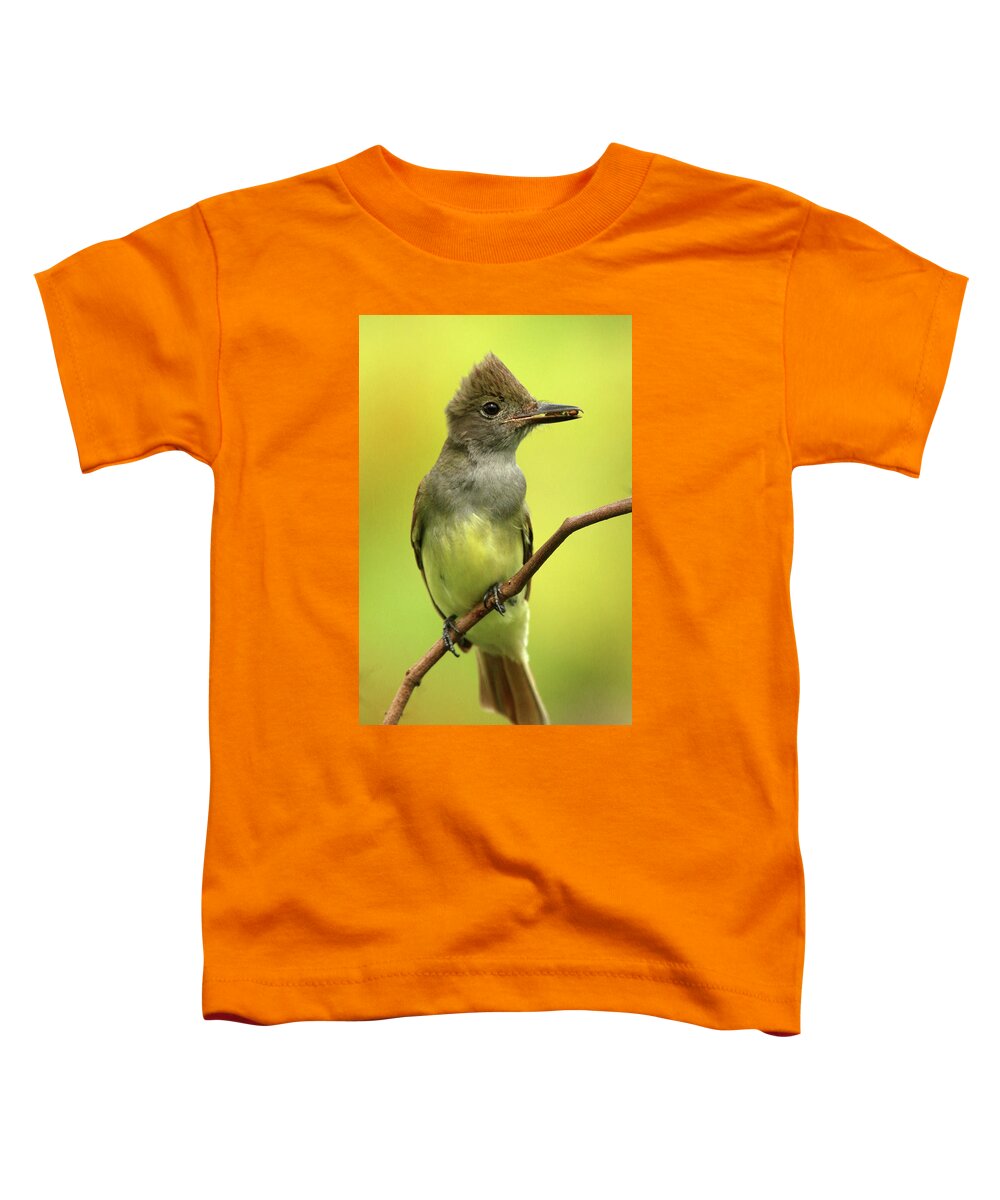 Great Crested Flycatcher Toddler T-Shirt featuring the photograph Great Crested Flycatcher by Karen Lindquist