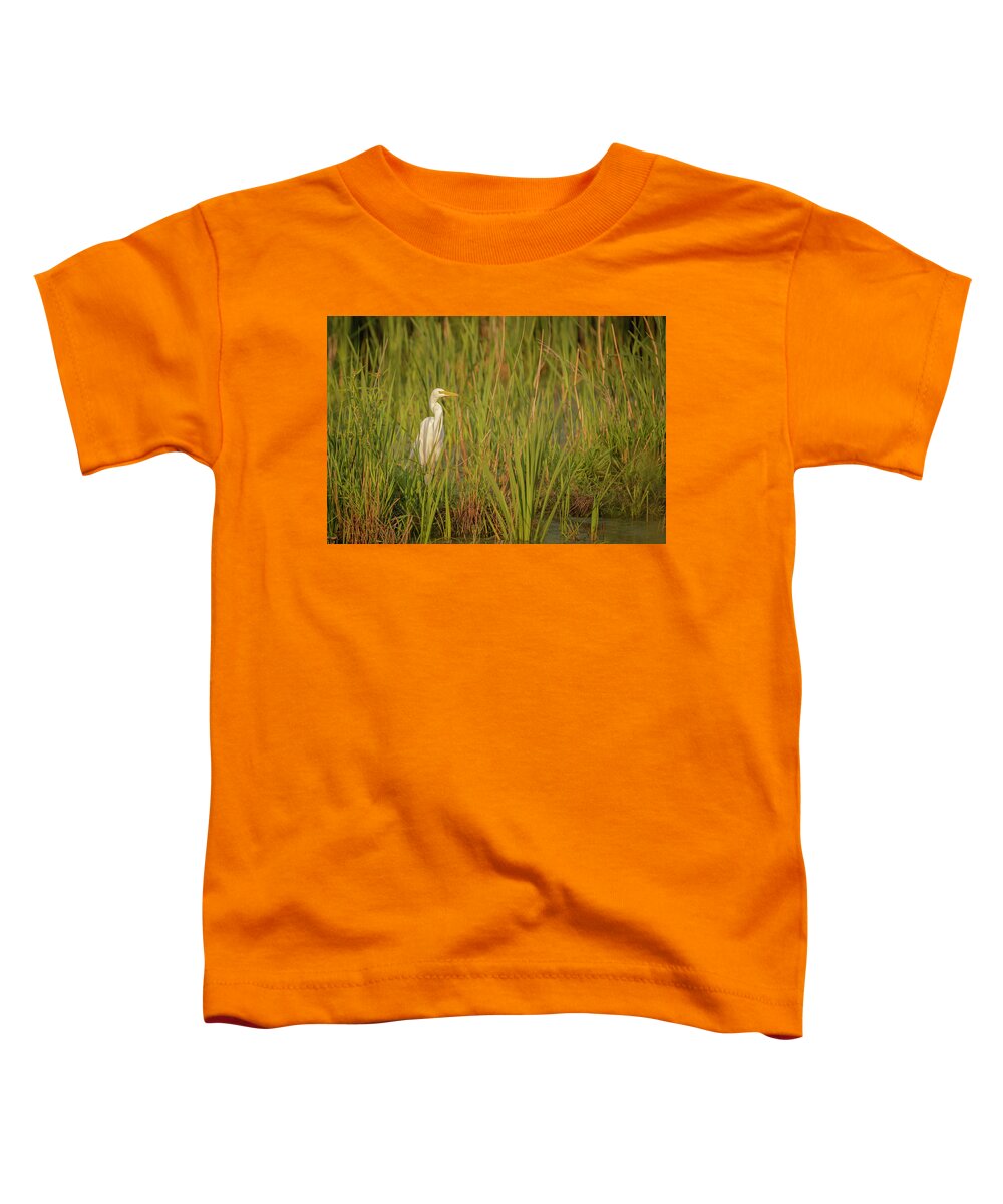 Great Egret Toddler T-Shirt featuring the photograph Great Egret 2019-1 by Thomas Young