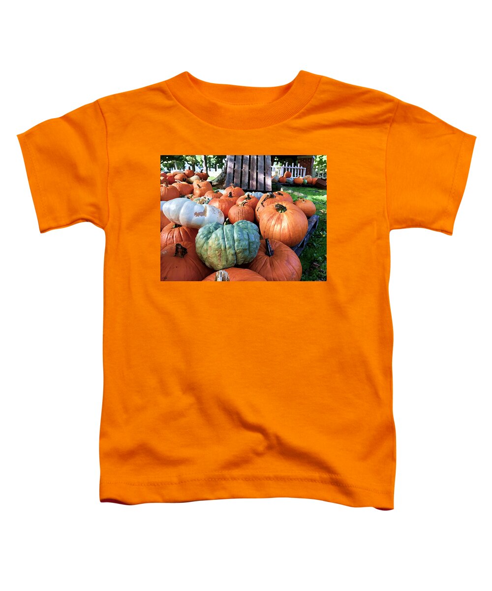 Pumpkins Toddler T-Shirt featuring the photograph Heirloom Pumpkins by Tom Johnson