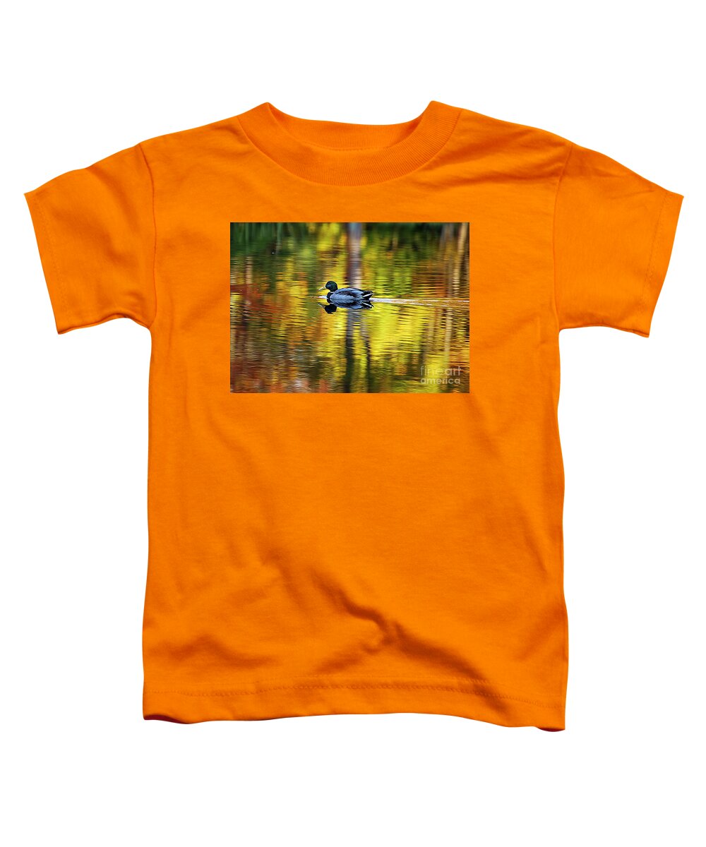 Mallard Toddler T-Shirt featuring the photograph Mallard in Maine by Cordia Murphy