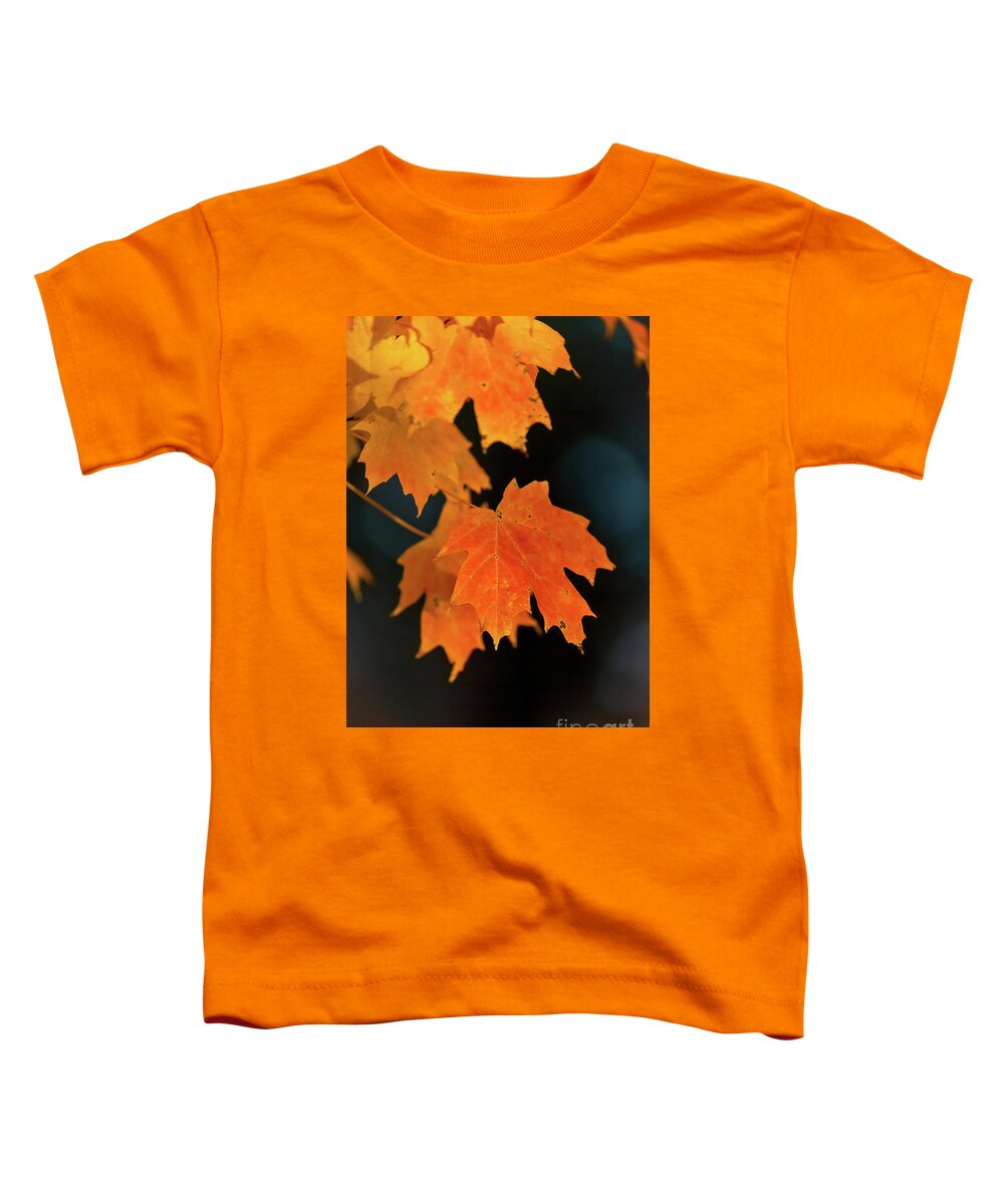 Cayce Toddler T-Shirt featuring the photograph Maple-1 by Charles Hite