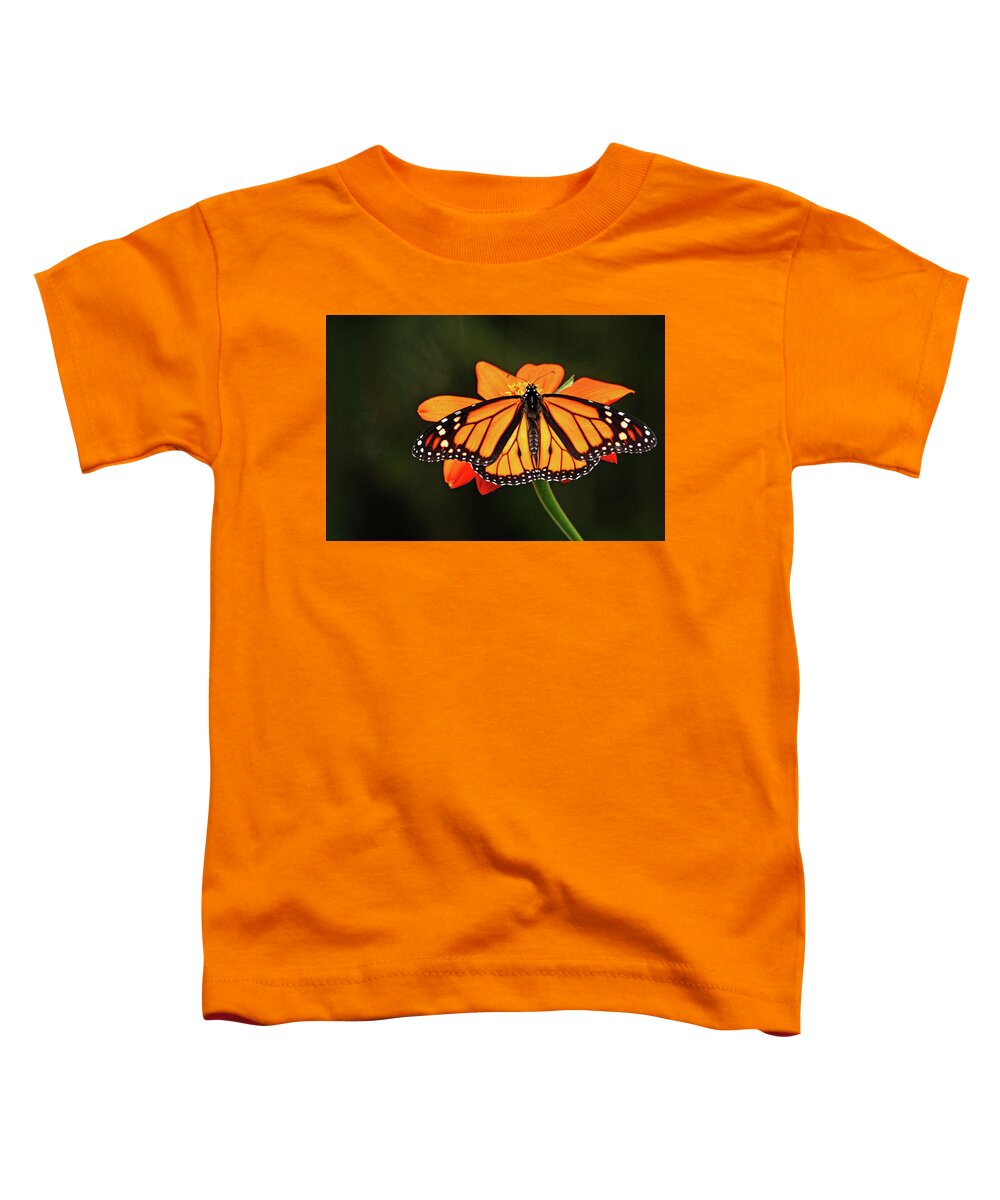 Monarch Toddler T-Shirt featuring the photograph Monarch With Wings Wide Open by Debbie Oppermann