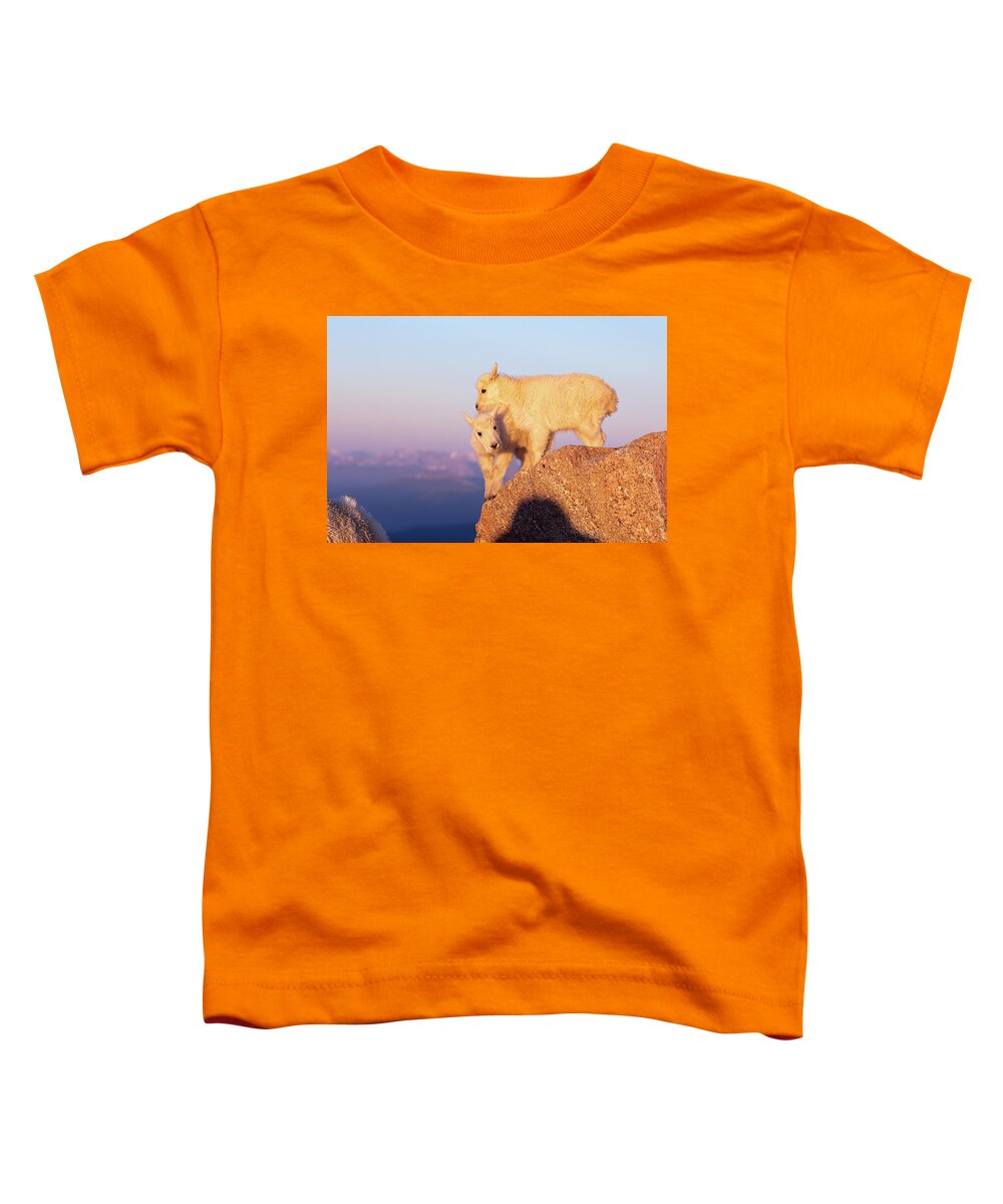 Mountain Goat Toddler T-Shirt featuring the photograph Mountain Goat Kids Fight for a Spot by Tony Hake