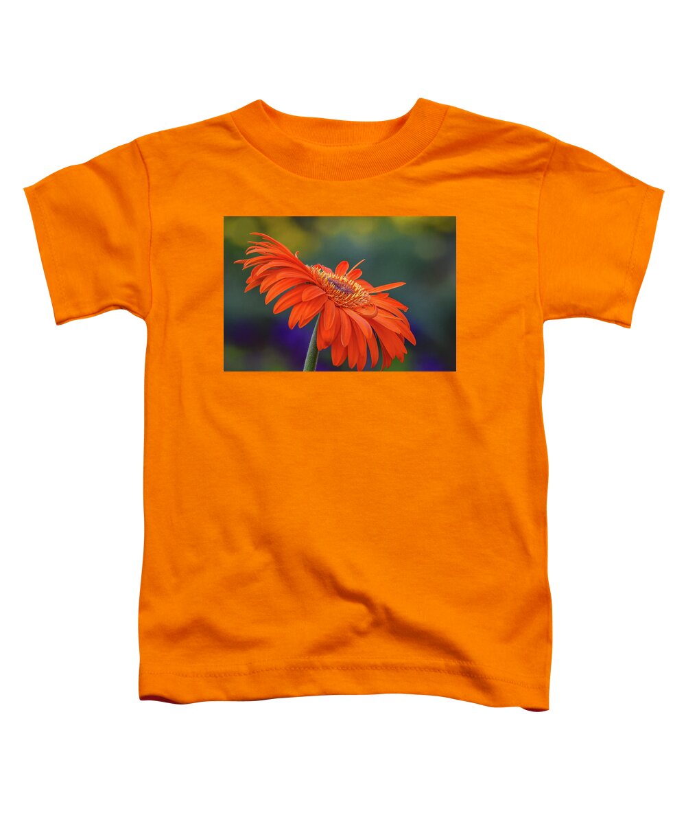 Orange Toddler T-Shirt featuring the photograph Orange Daisy by Michelle Wittensoldner