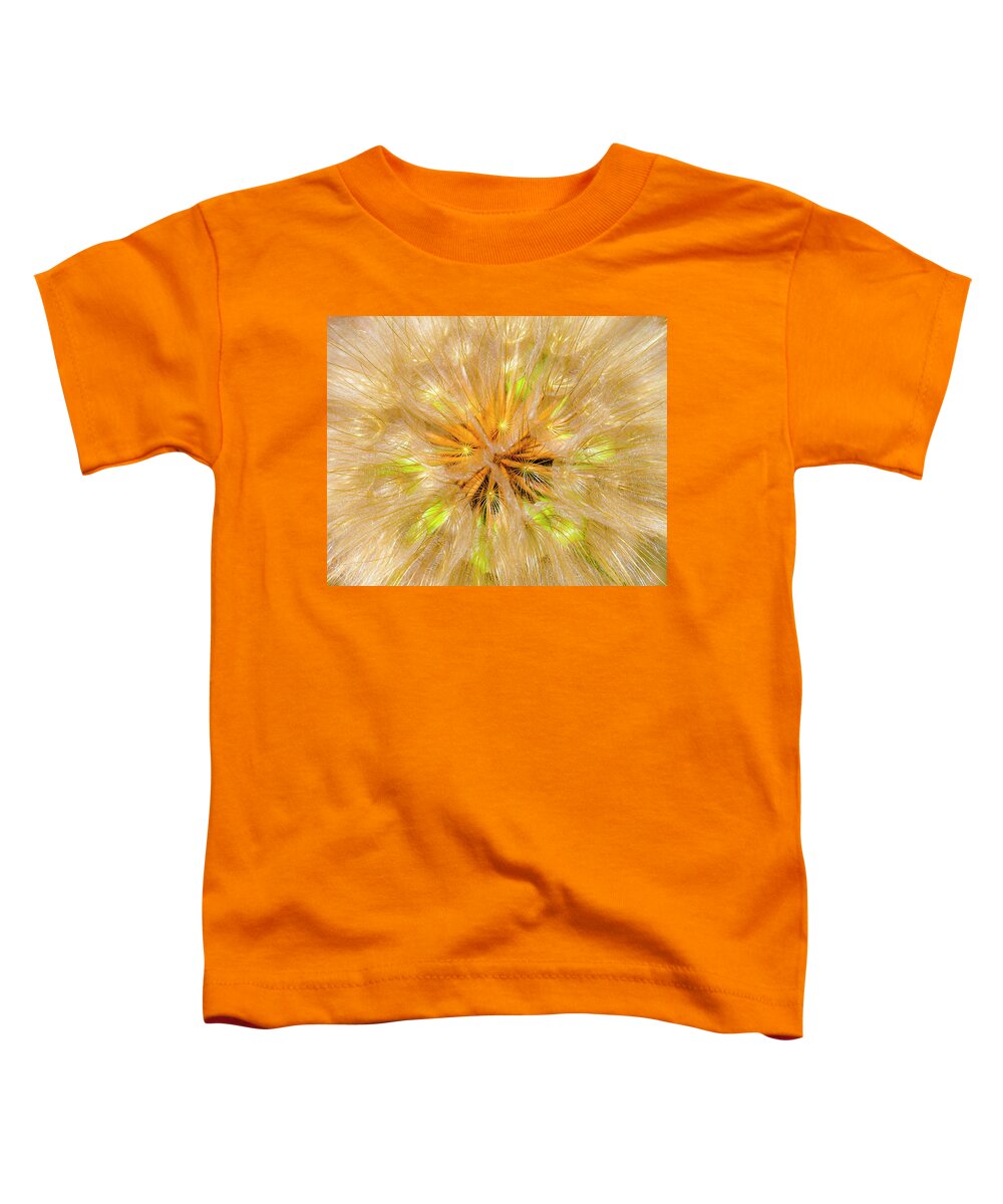 Flower Seeds Toddler T-Shirt featuring the photograph Seeds #2 by Neil Pankler