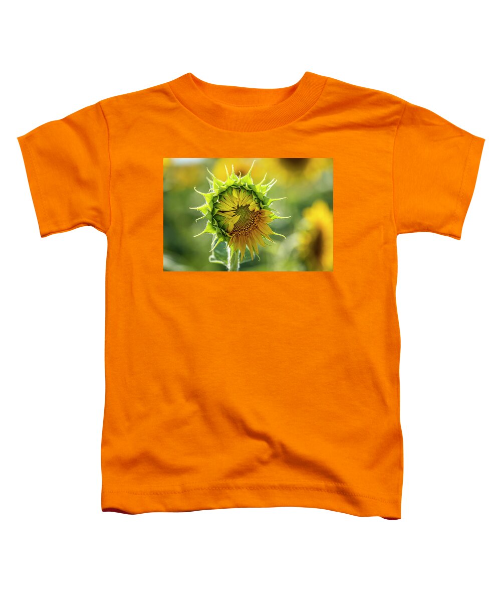 Colorado Toddler T-Shirt featuring the photograph Showing My Sunflower Petals by Teri Virbickis