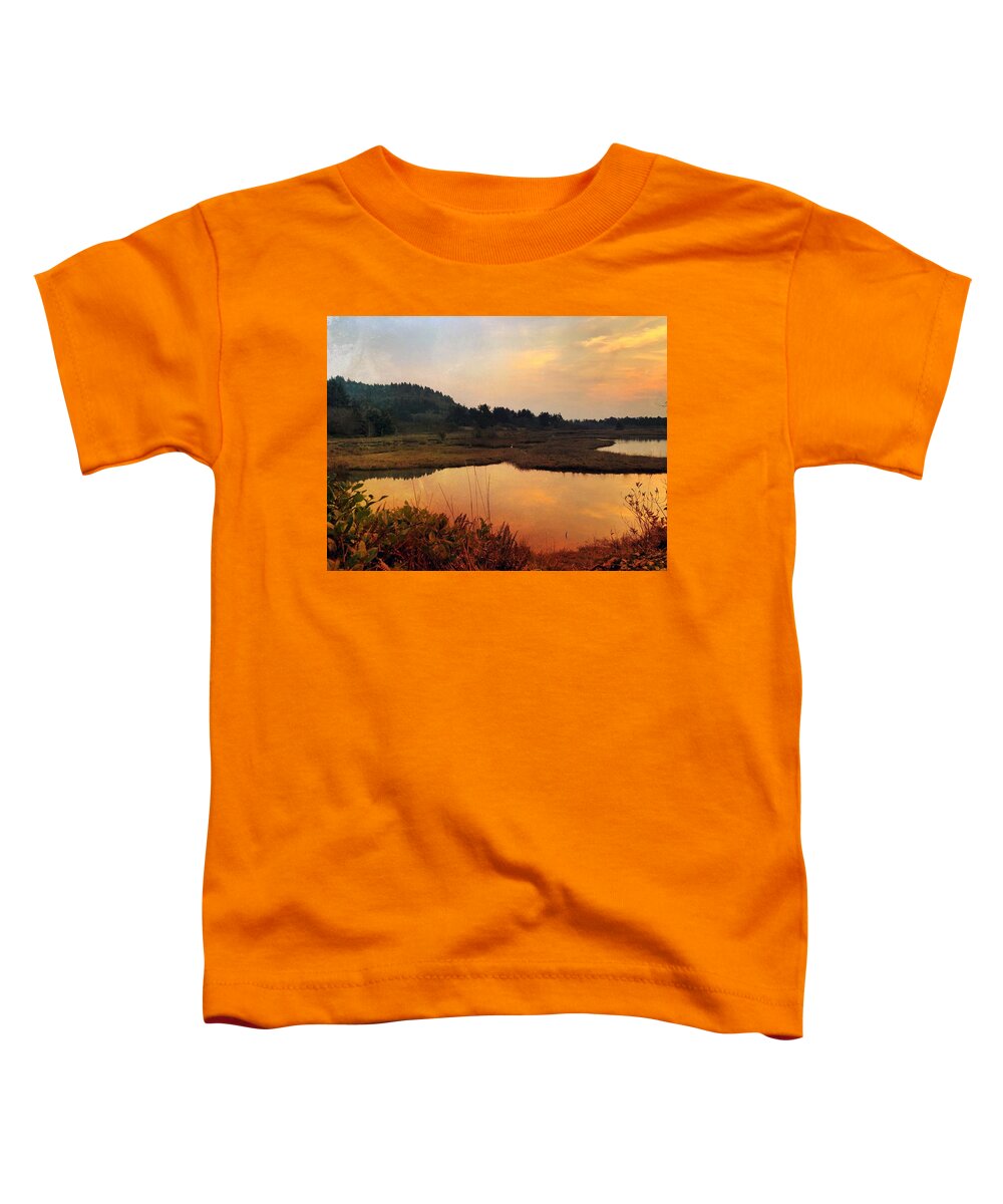 Sunset Toddler T-Shirt featuring the digital art Sitka Sedge Sand Lake Eve by Chriss Pagani