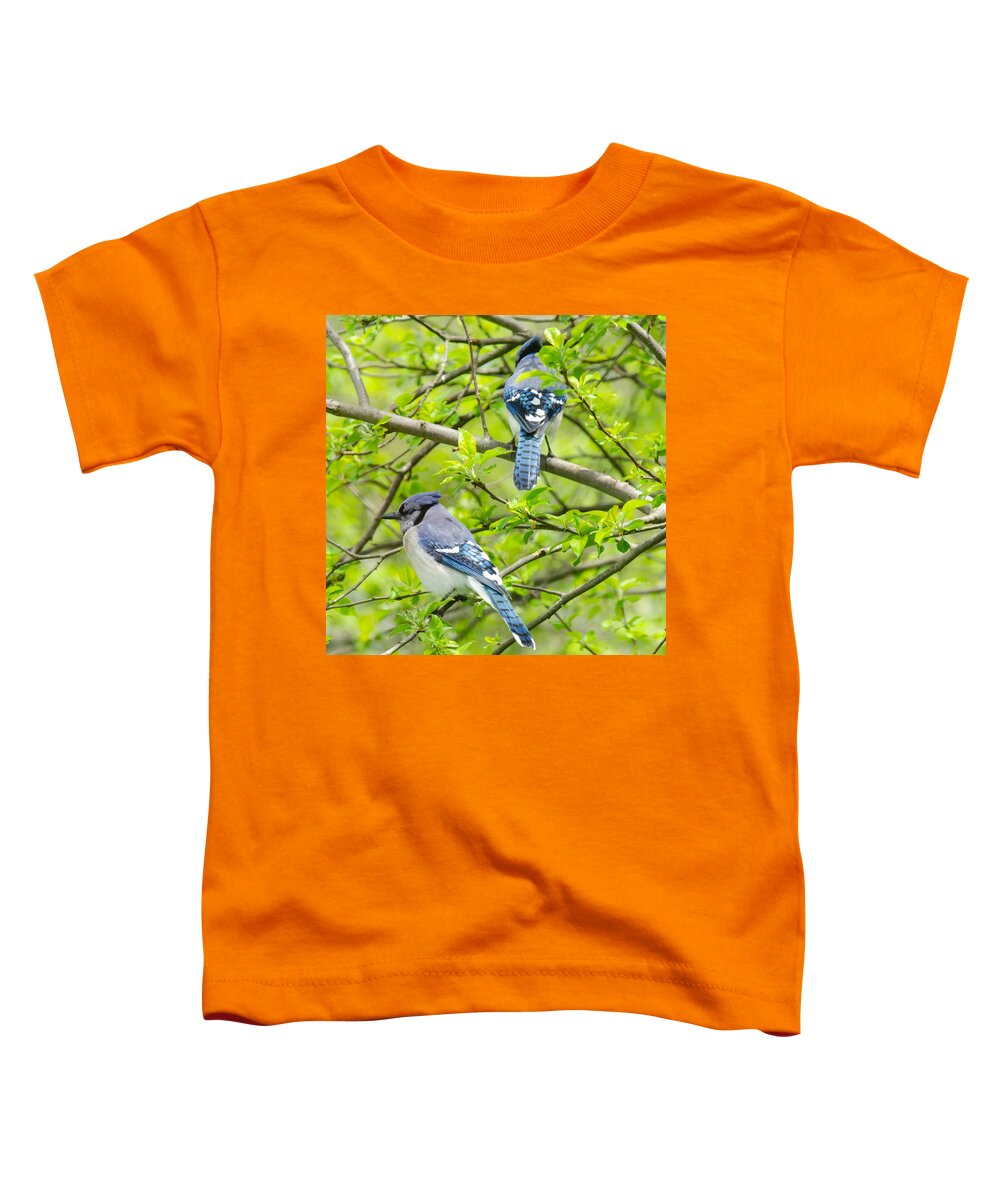 Bluejays Toddler T-Shirt featuring the photograph Springtime Pairs by Kristin Hatt