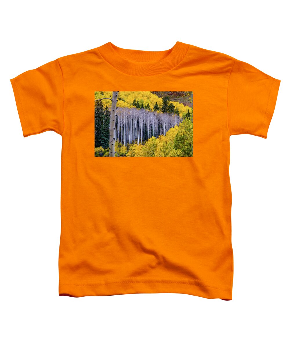 Aspens Toddler T-Shirt featuring the photograph Standing Naked by Johnny Boyd