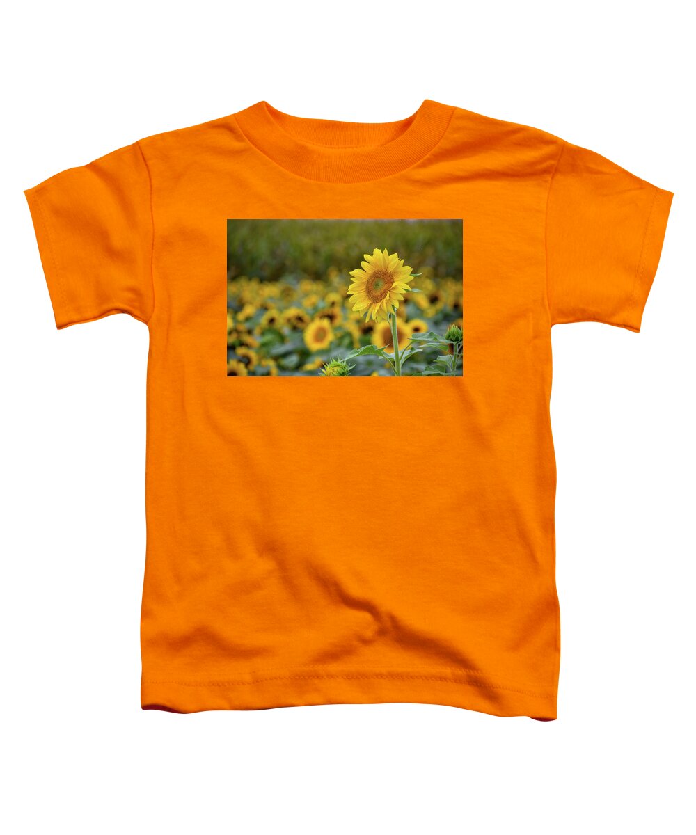 Sunflowers Toddler T-Shirt featuring the photograph Sunflowers by Michelle Wittensoldner