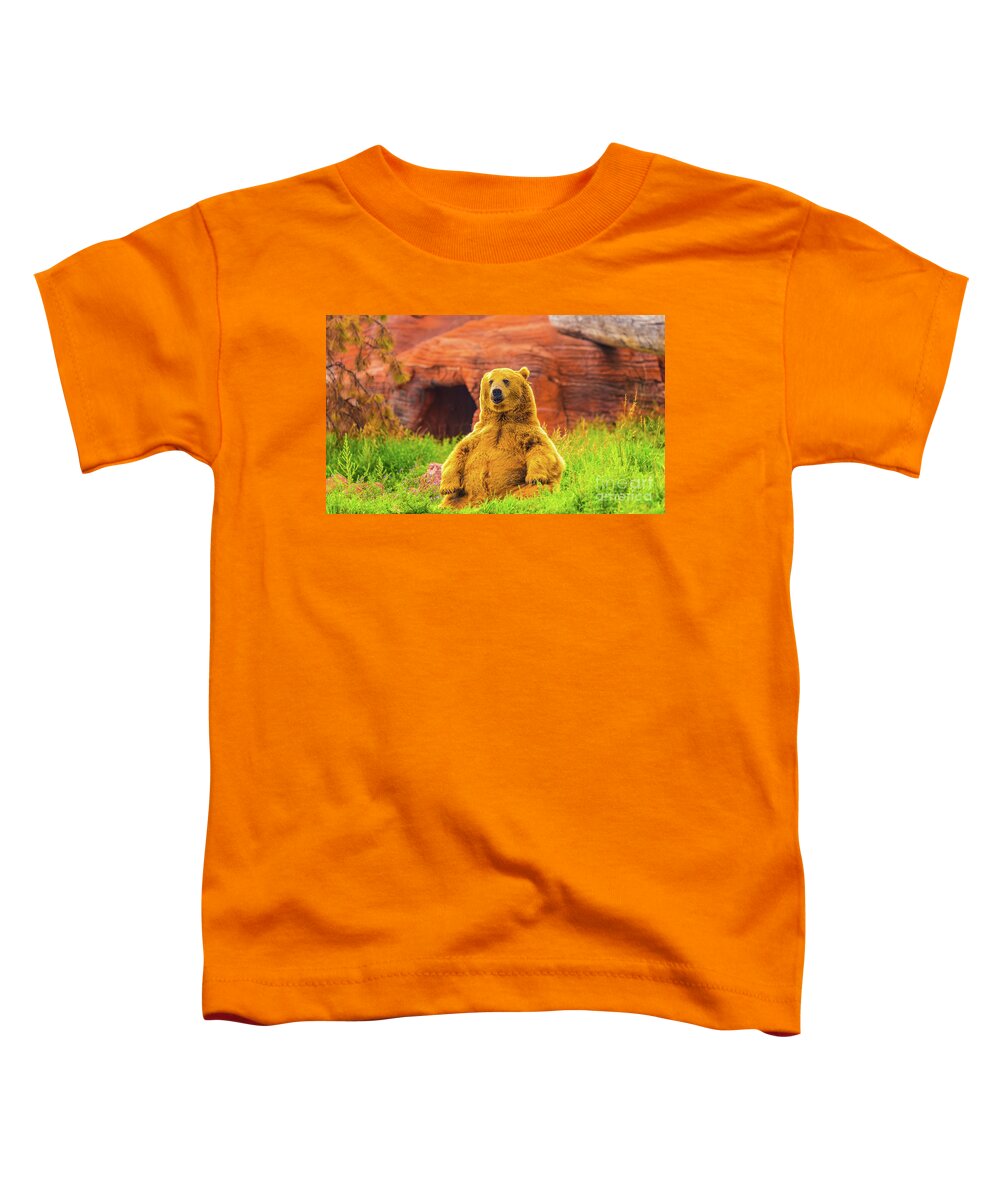 Bear Toddler T-Shirt featuring the photograph Teddy Bear by Dheeraj Mutha