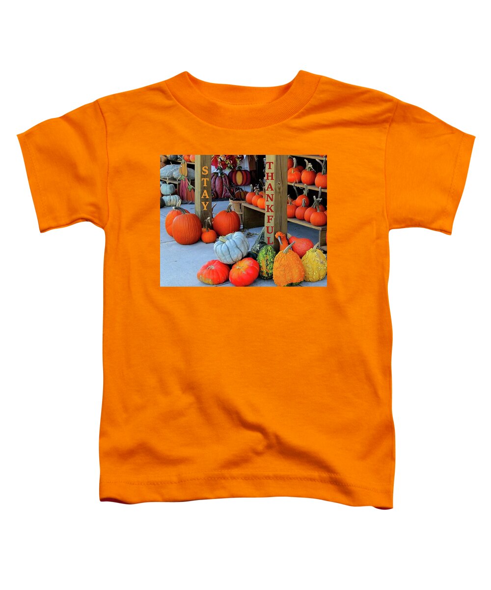 Thanksgiving Toddler T-Shirt featuring the photograph Thanksgiving Card - One by Linda Stern