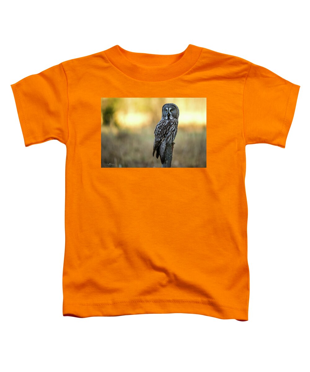 Great Grey Perching Toddler T-Shirt featuring the photograph The Great Gray Owl in the morning by Torbjorn Swenelius