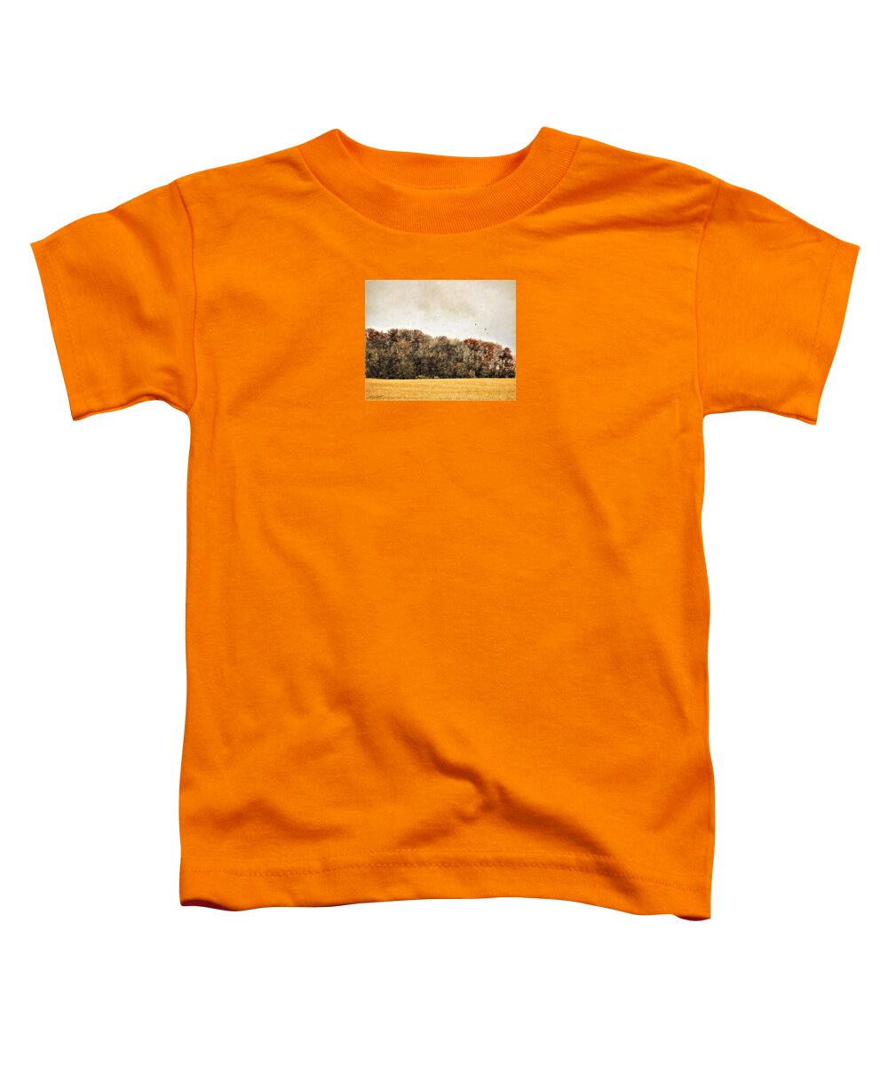 Landscape Toddler T-Shirt featuring the digital art Three Crows and Golden Field by Diane Chandler