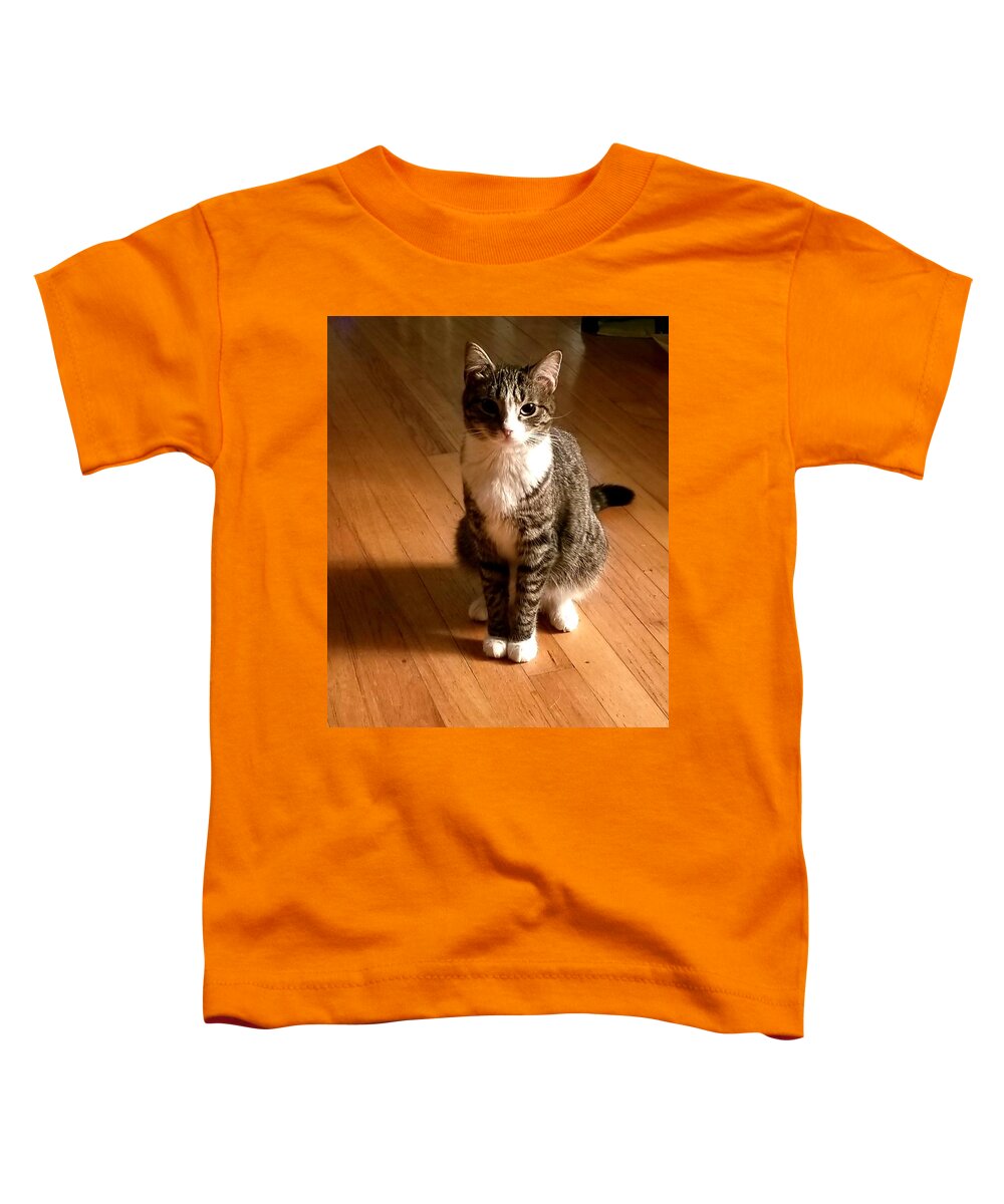 Uther Toddler T-Shirt featuring the photograph 'Z aCat by Uther Pendraggin