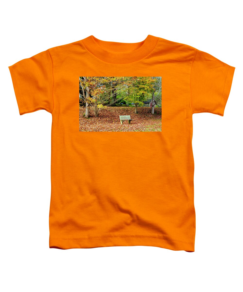 Barns Toddler T-Shirt featuring the photograph Bench in the Fallen Leaves Creeper Trail in Autumn Fall Colors D #1 by Debra and Dave Vanderlaan