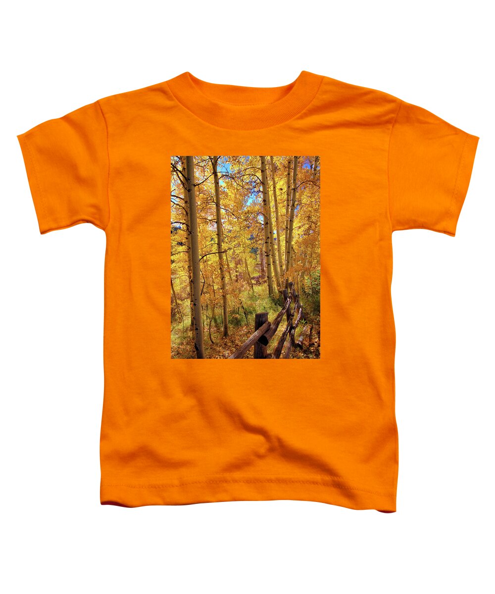 Colorado Toddler T-Shirt featuring the photograph Fall colors #1 by Bob Falcone