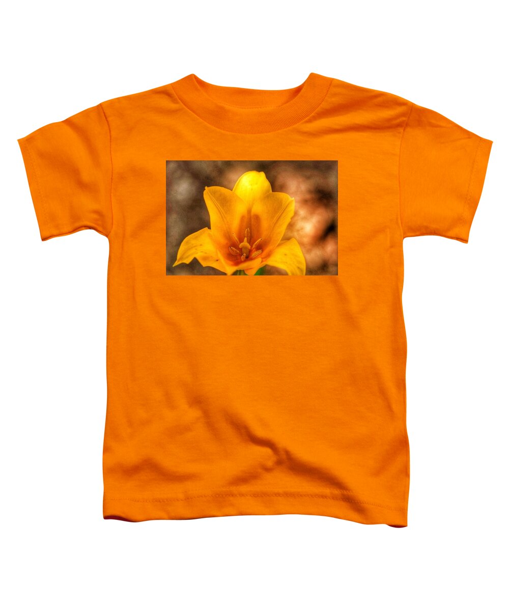  Toddler T-Shirt featuring the photograph Golden Hour #1 by Windshield Photography