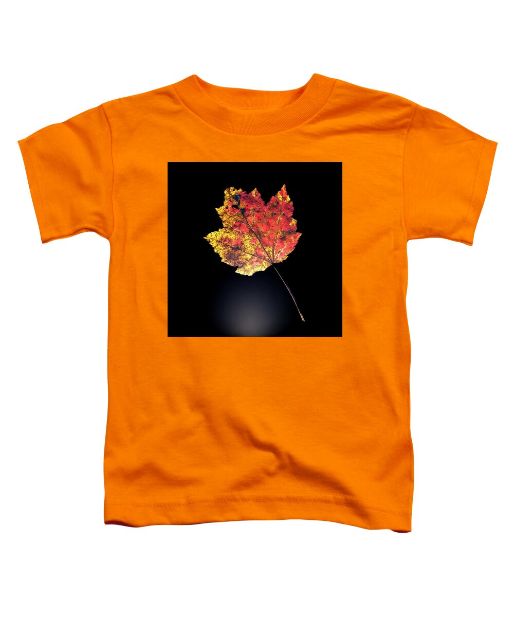 Autumn Toddler T-Shirt featuring the photograph Preserving Autumn #1 by Kevin Suttlehan