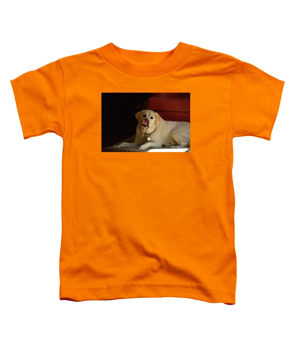 Dog Toddler T-Shirt featuring the photograph Dog #15 by Marc Bittan