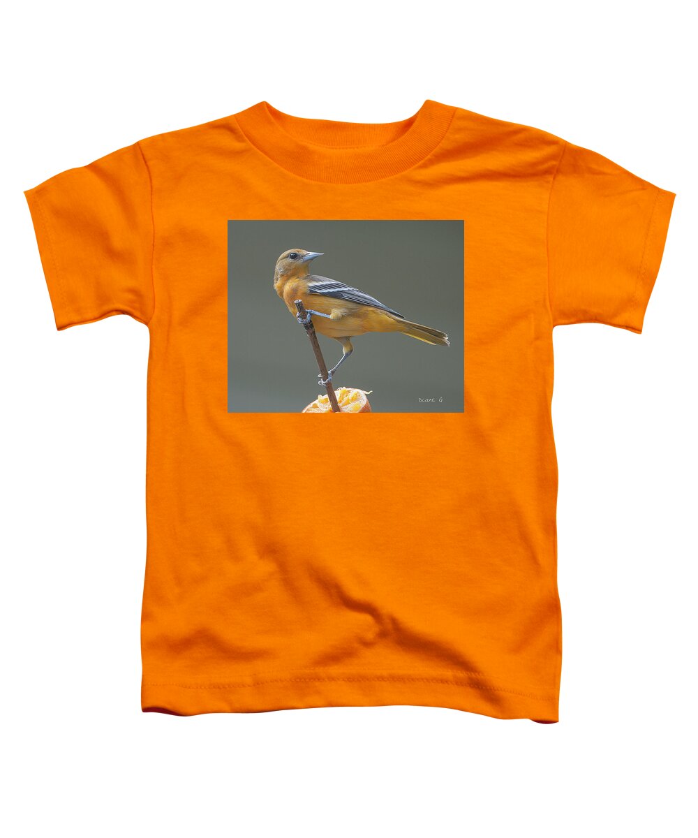 Female Oriole Toddler T-Shirt featuring the photograph Female Oriole #3 by Diane Giurco