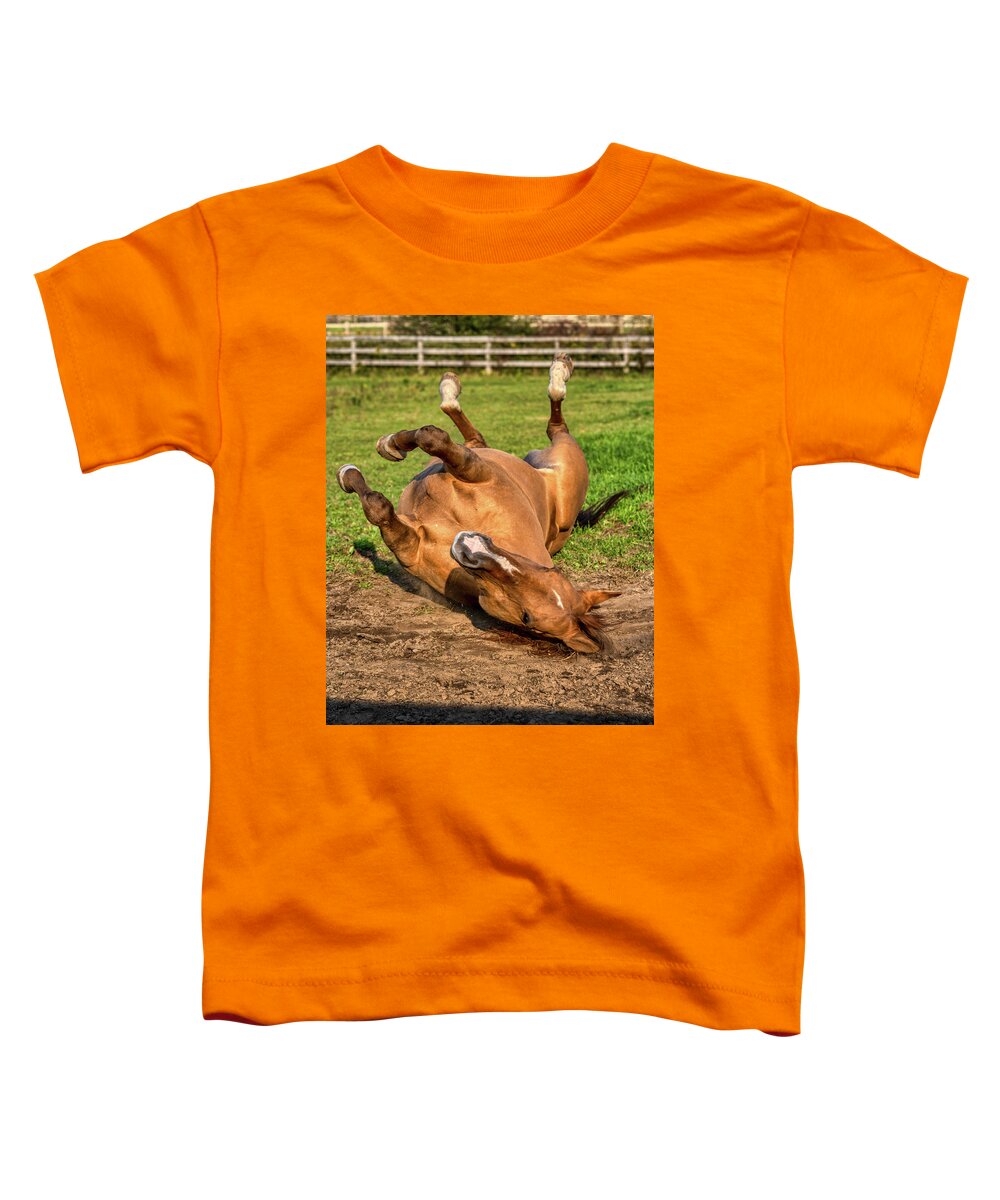 Airey Toddler T-Shirt featuring the photograph Autumn Horses of Uxbridge #6 by Dee Potter