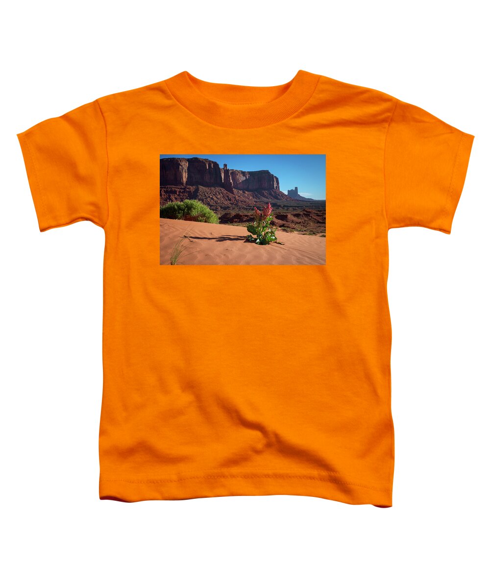Arizona Toddler T-Shirt featuring the photograph Amaranth Monument Valley Arizona Desert by Mary Lee Dereske
