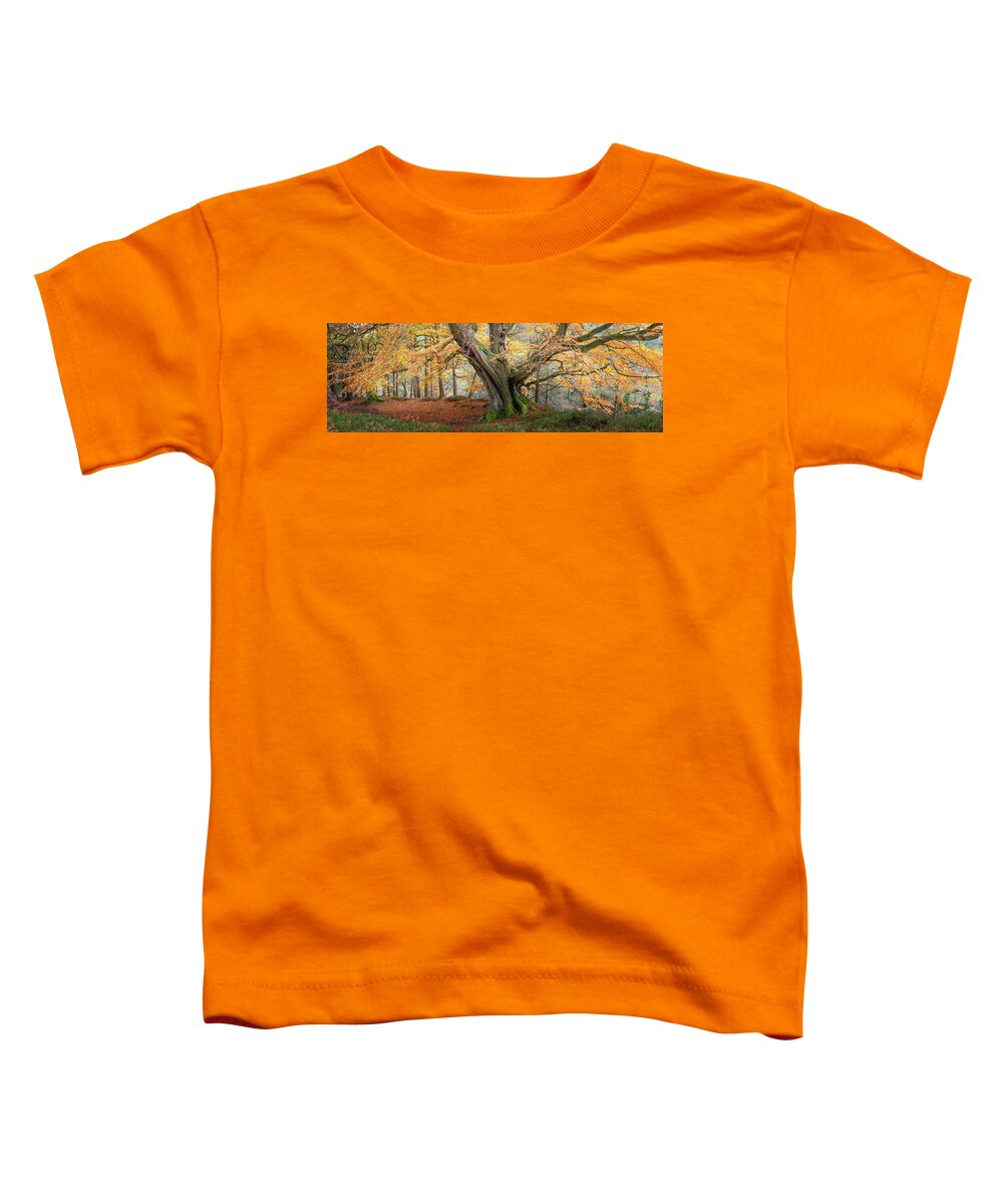 Autumn Toddler T-Shirt featuring the photograph Monarch of the Forest by Anita Nicholson