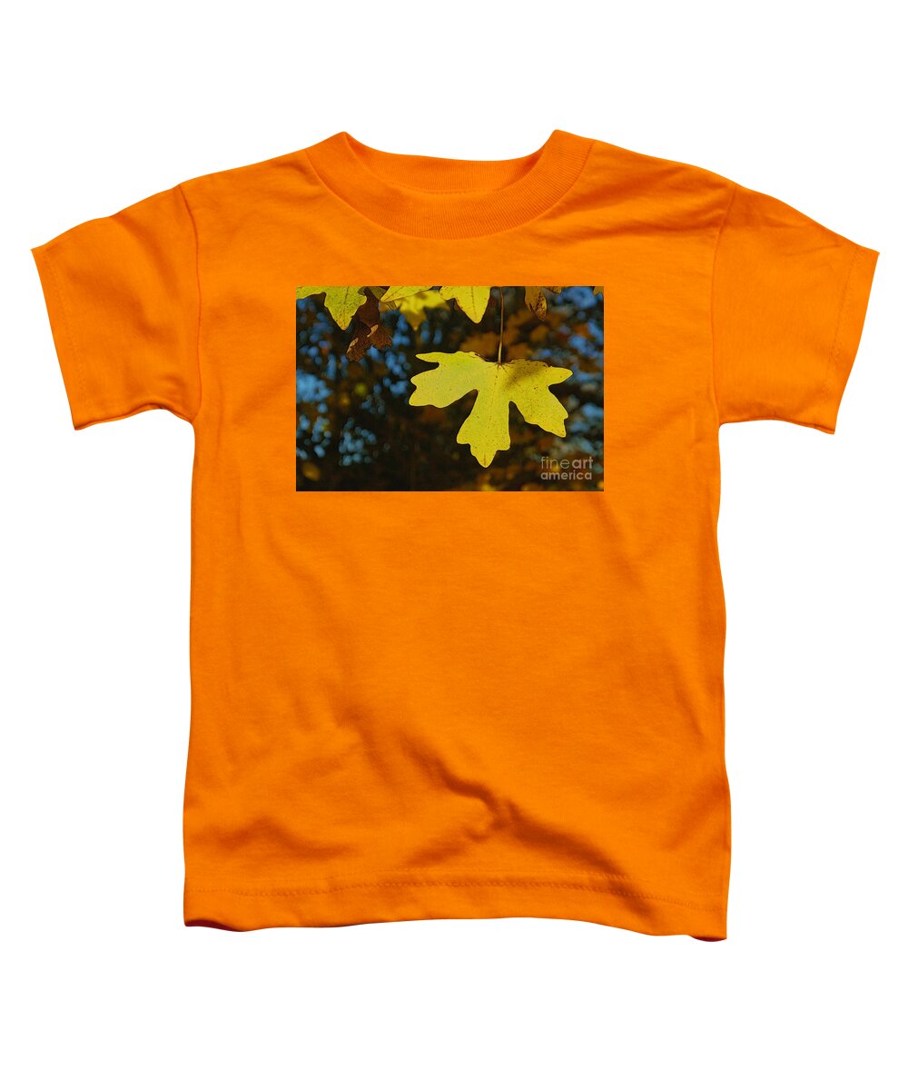 Art Toddler T-Shirt featuring the photograph Autumn Leaves 22 by Jean Bernard Roussilhe