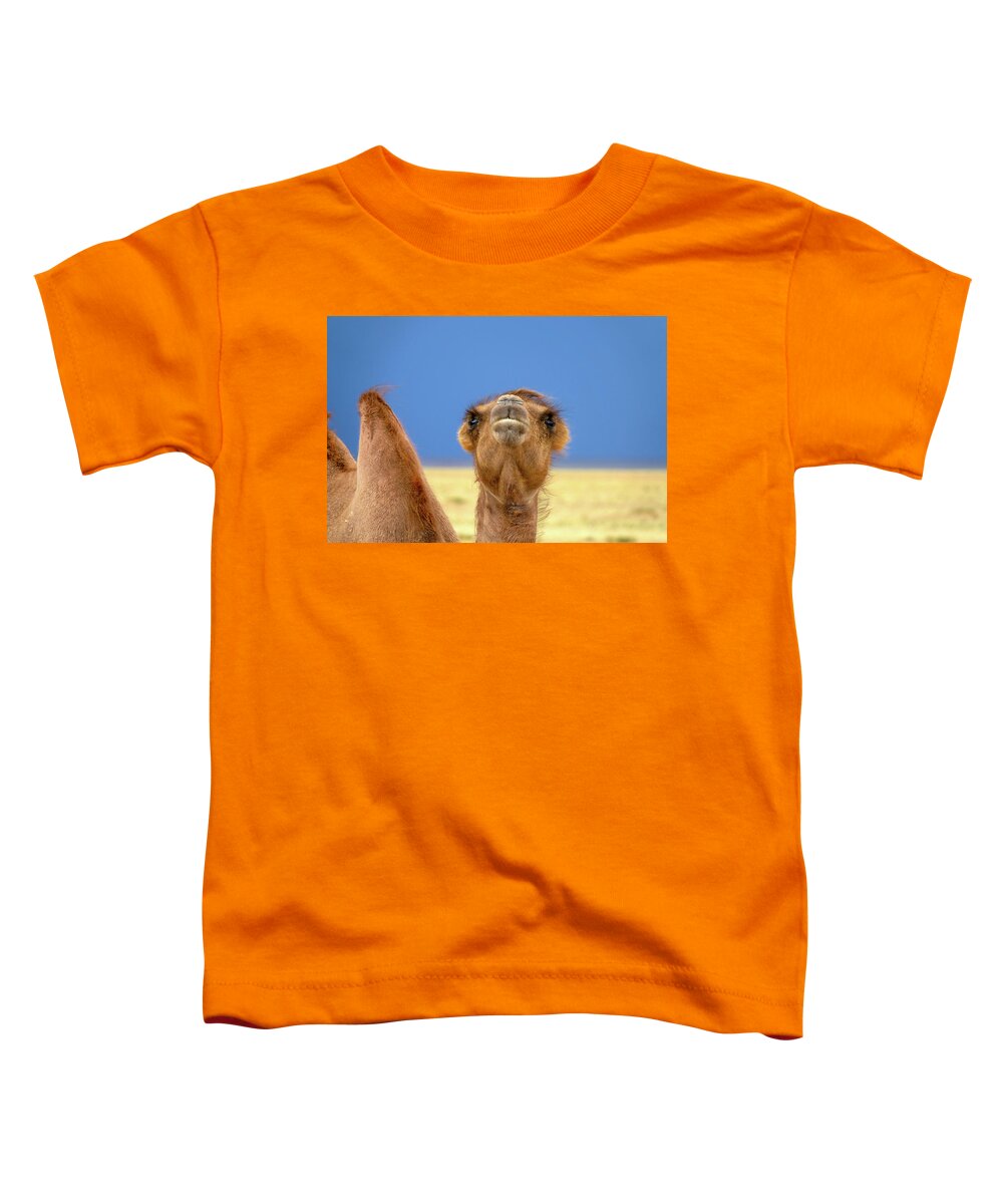 Camel Toddler T-Shirt featuring the photograph Bactrian camel portrait in steppe by Mikhail Kokhanchikov