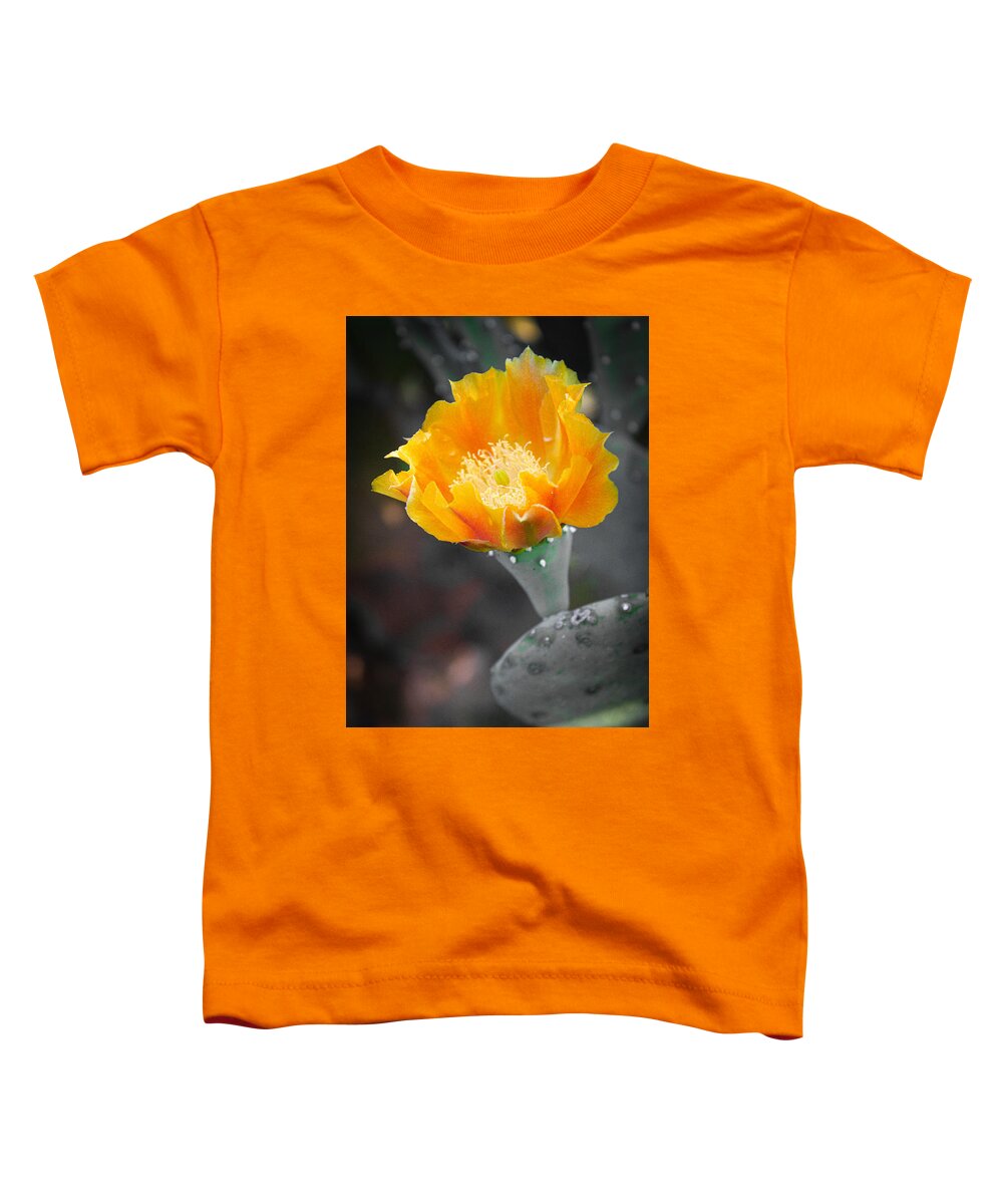 Opuntia Ficus-indica Toddler T-Shirt featuring the photograph Barbary Fig Flower by W Craig Photography