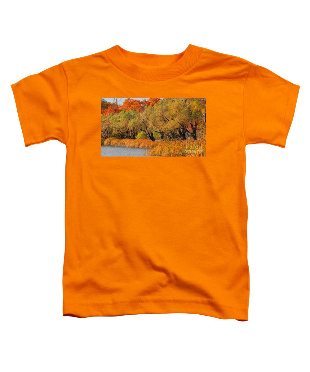 Leaves Toddler T-Shirt featuring the photograph Beauty of WNY Trees by fototaker Tony