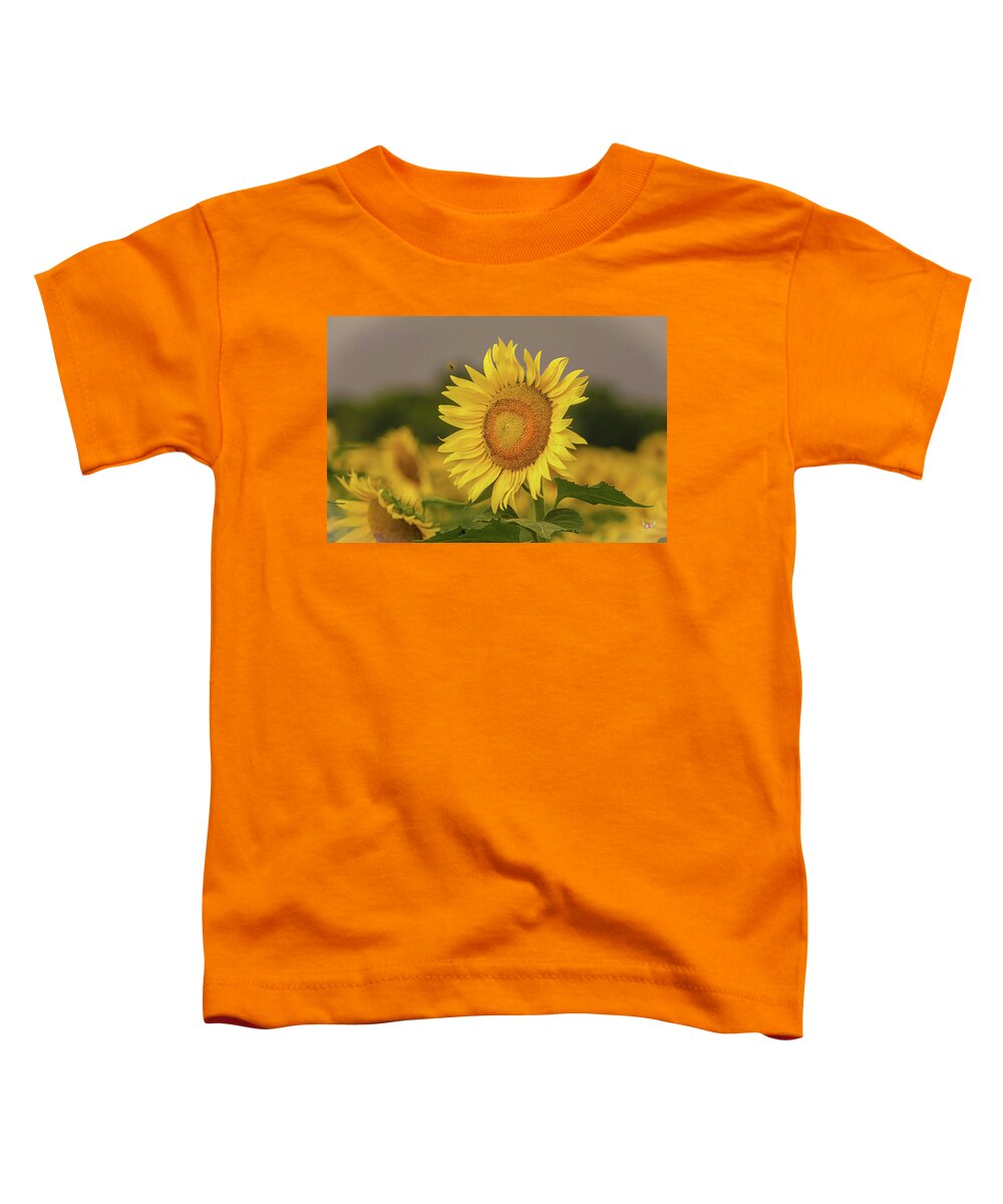 Sunflowers Toddler T-Shirt featuring the photograph Bee and Sunflower by Pam Rendall