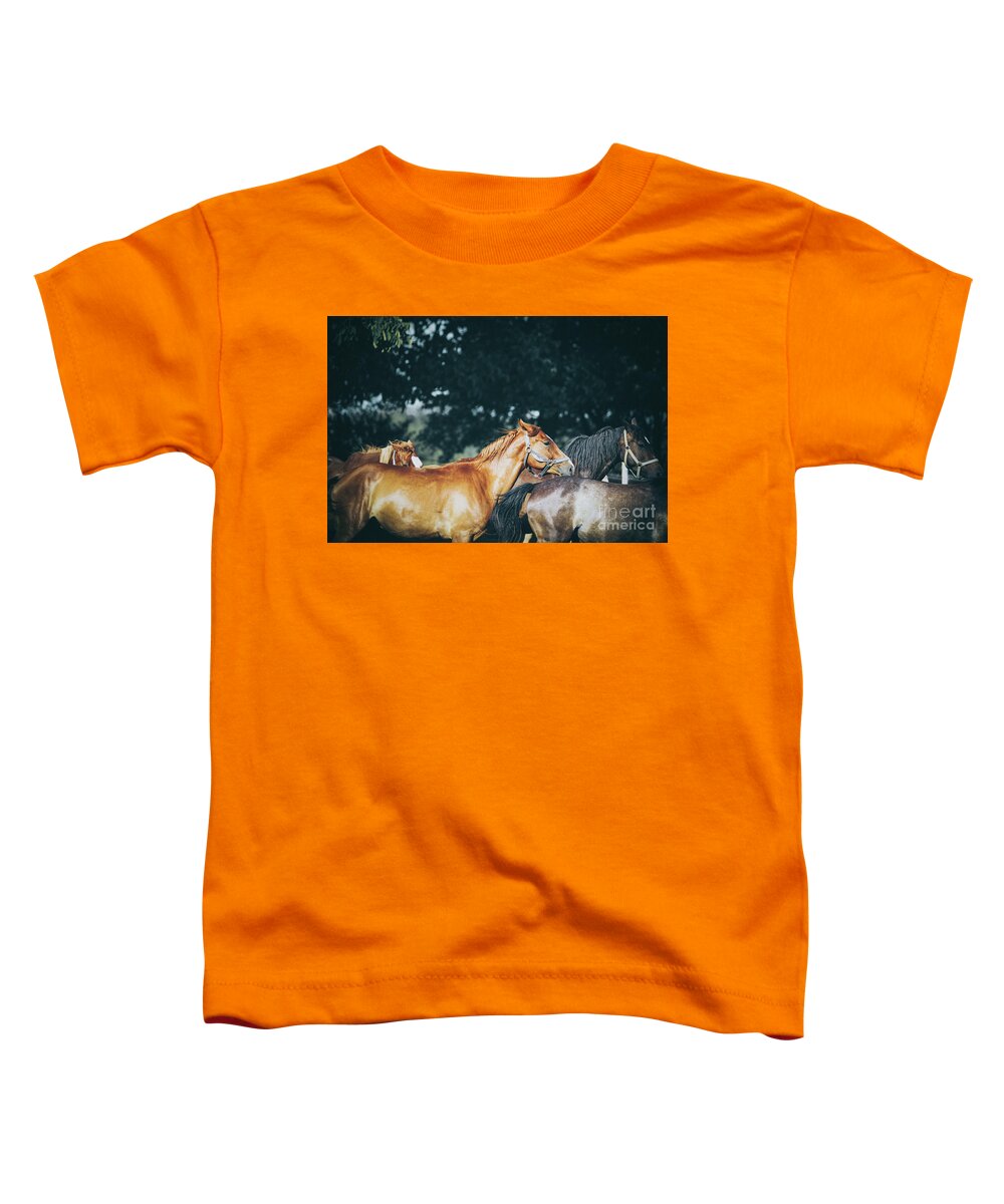 Horse Toddler T-Shirt featuring the photograph Calm horses III by Dimitar Hristov