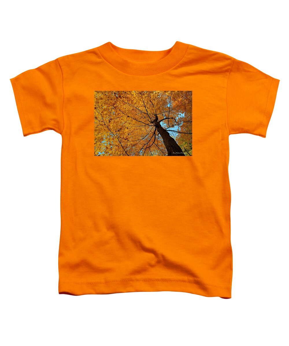 Autumn Leaves Toddler T-Shirt featuring the photograph Canopy of Color by Mary Walchuck