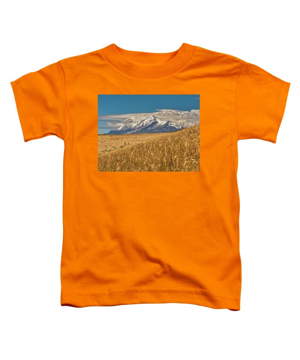 Andes Toddler T-Shirt featuring the photograph Cayambe and Andes Paramo by Henri Leduc